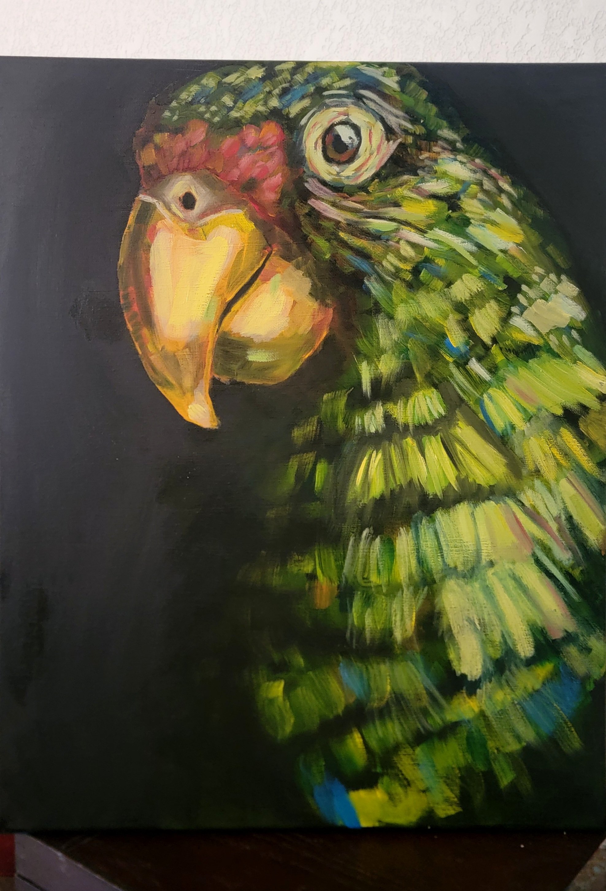 Birds of a Feather