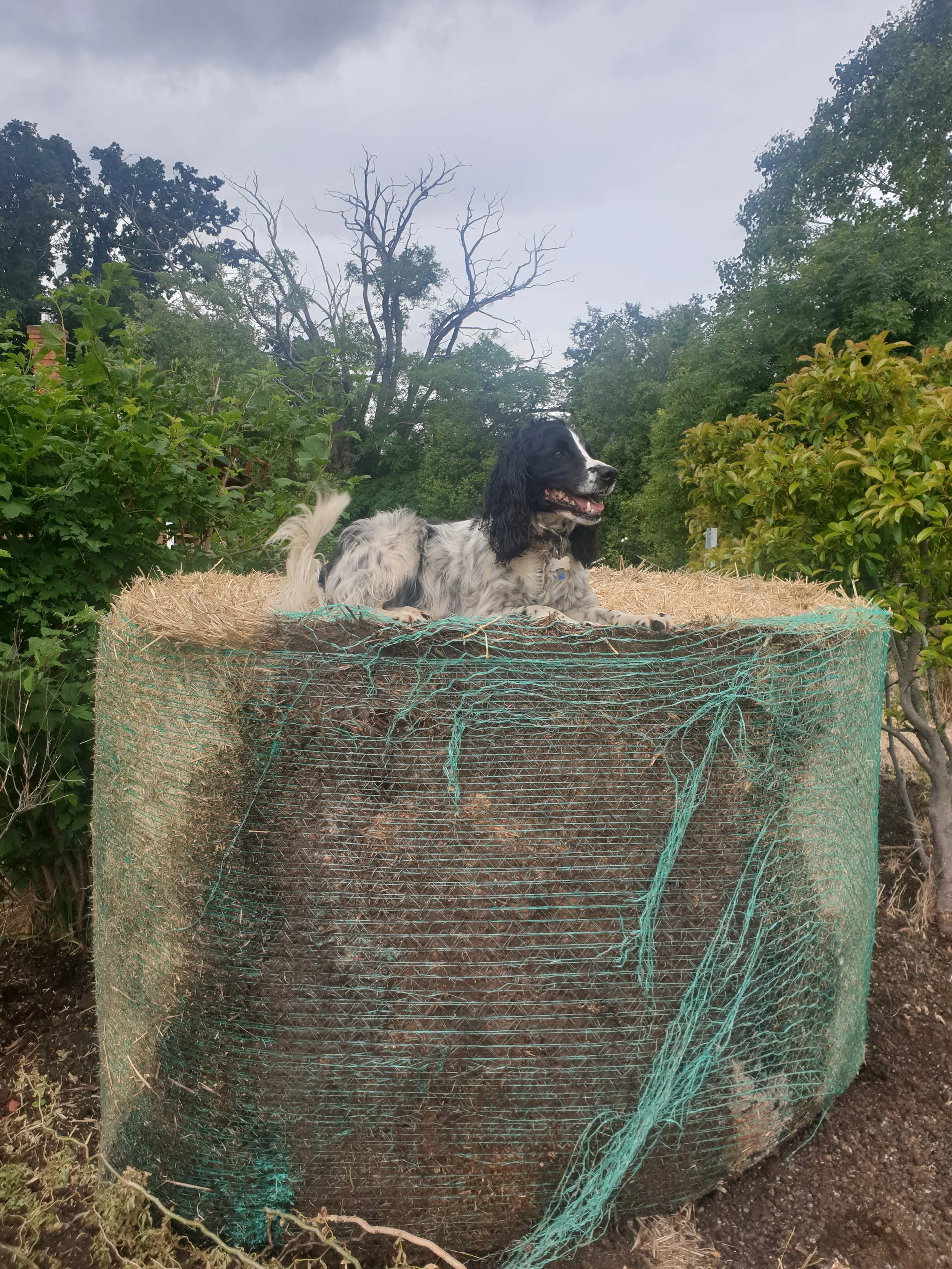 Project Four - Rock House Garden Mulch 01.jpg