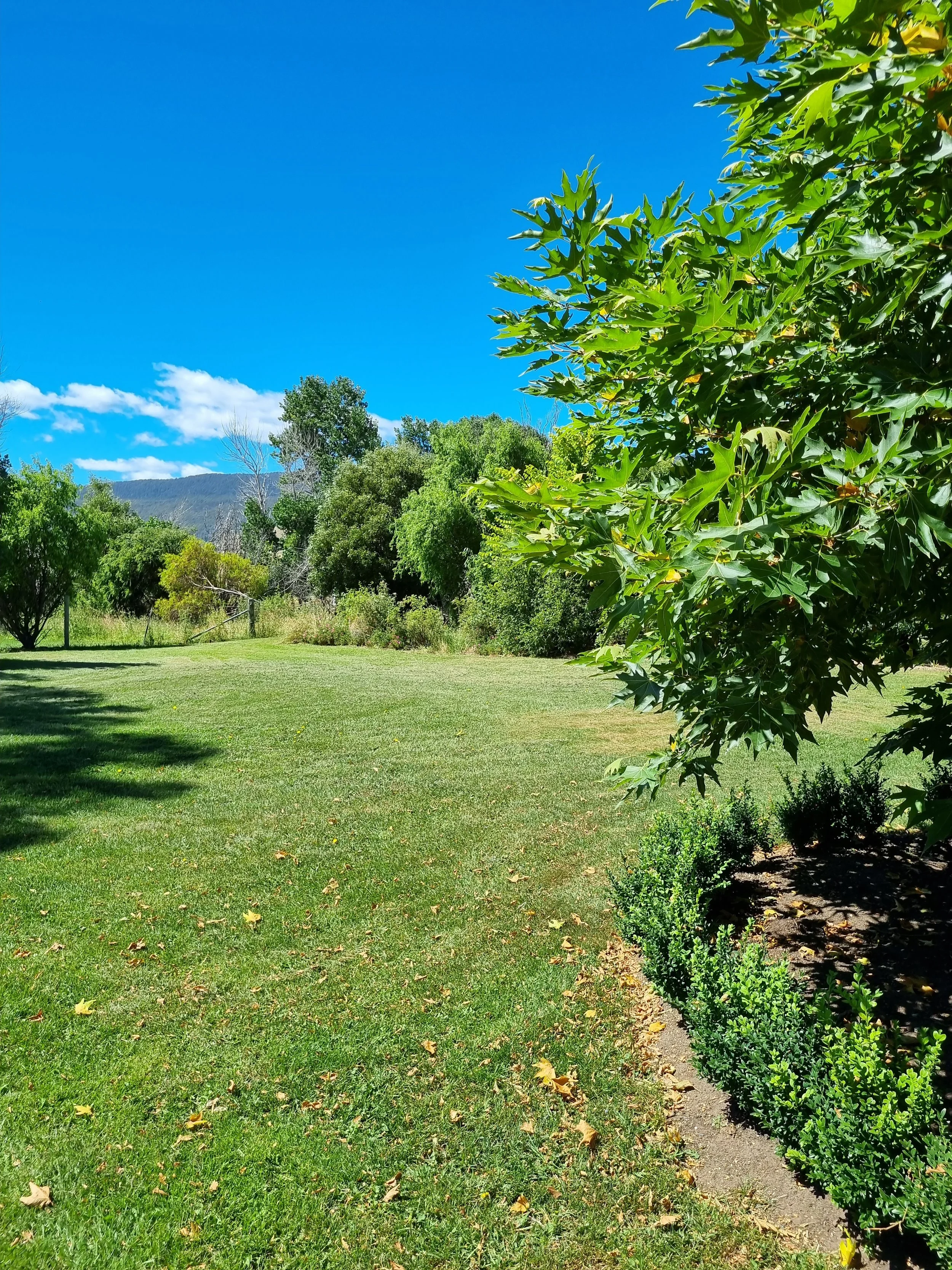 Project Four - Rock House