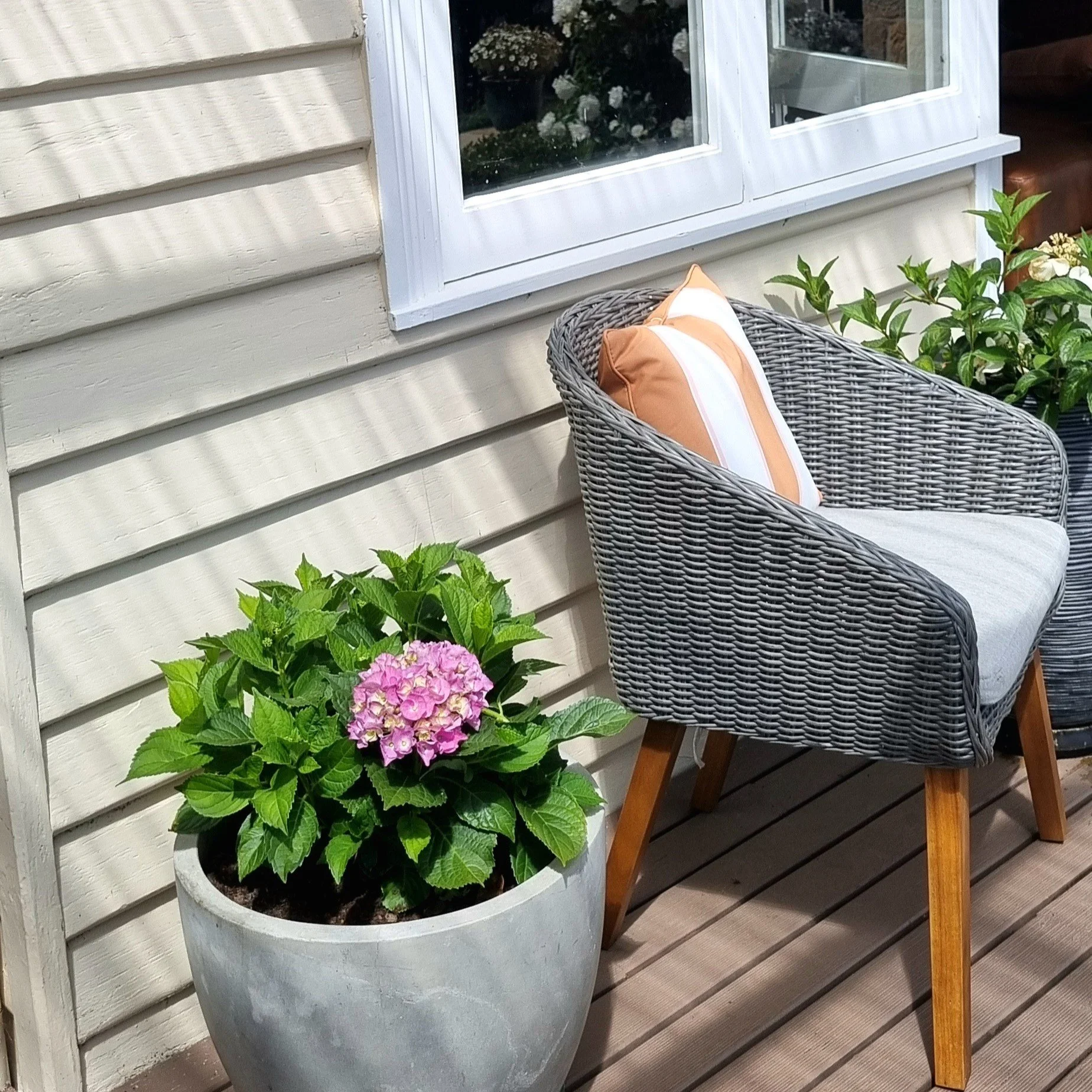 Crisp Designs Project Eight Deck Plant.jpg