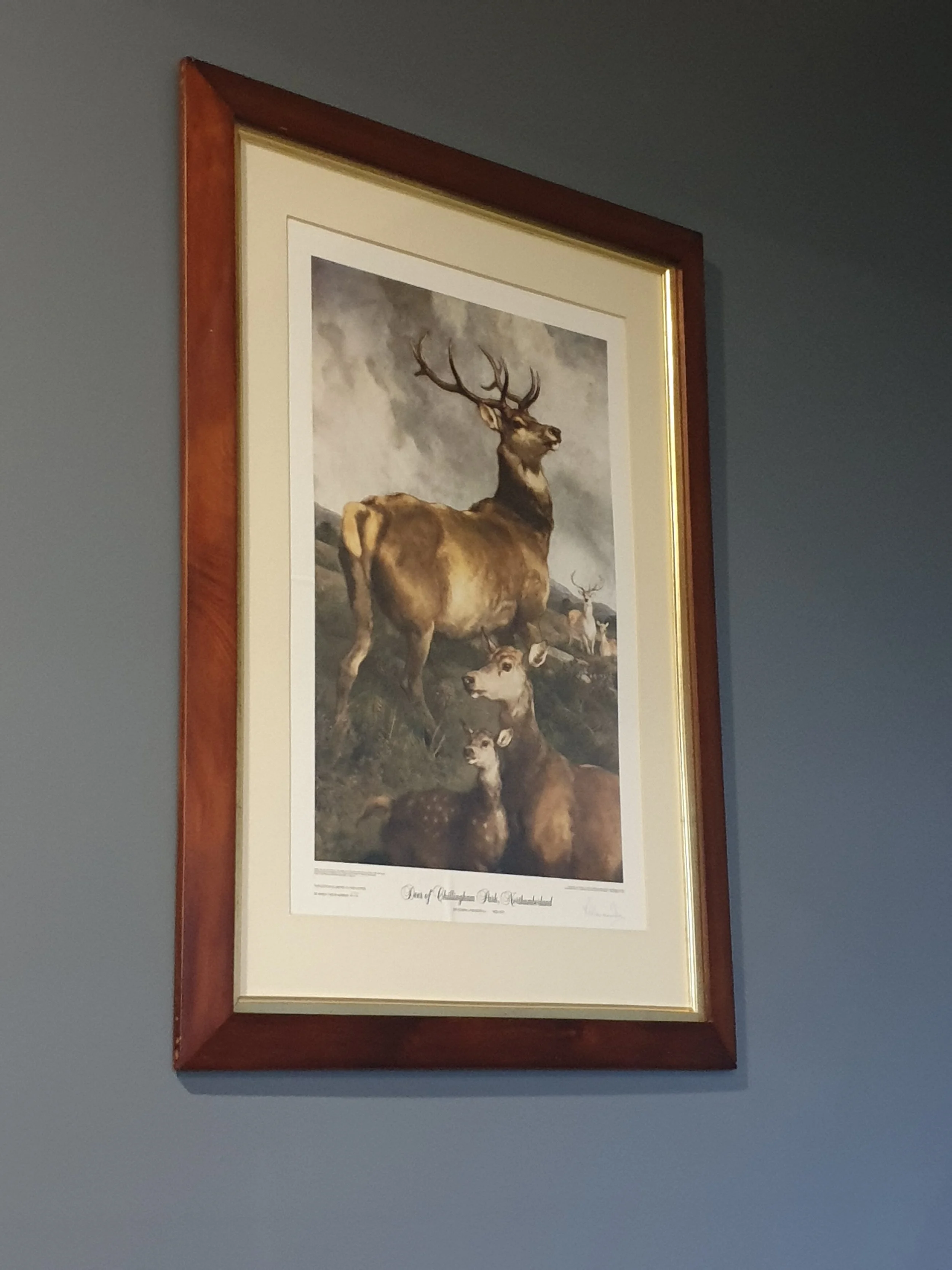 Project Four - Rock House Lounge Room Art.jpg