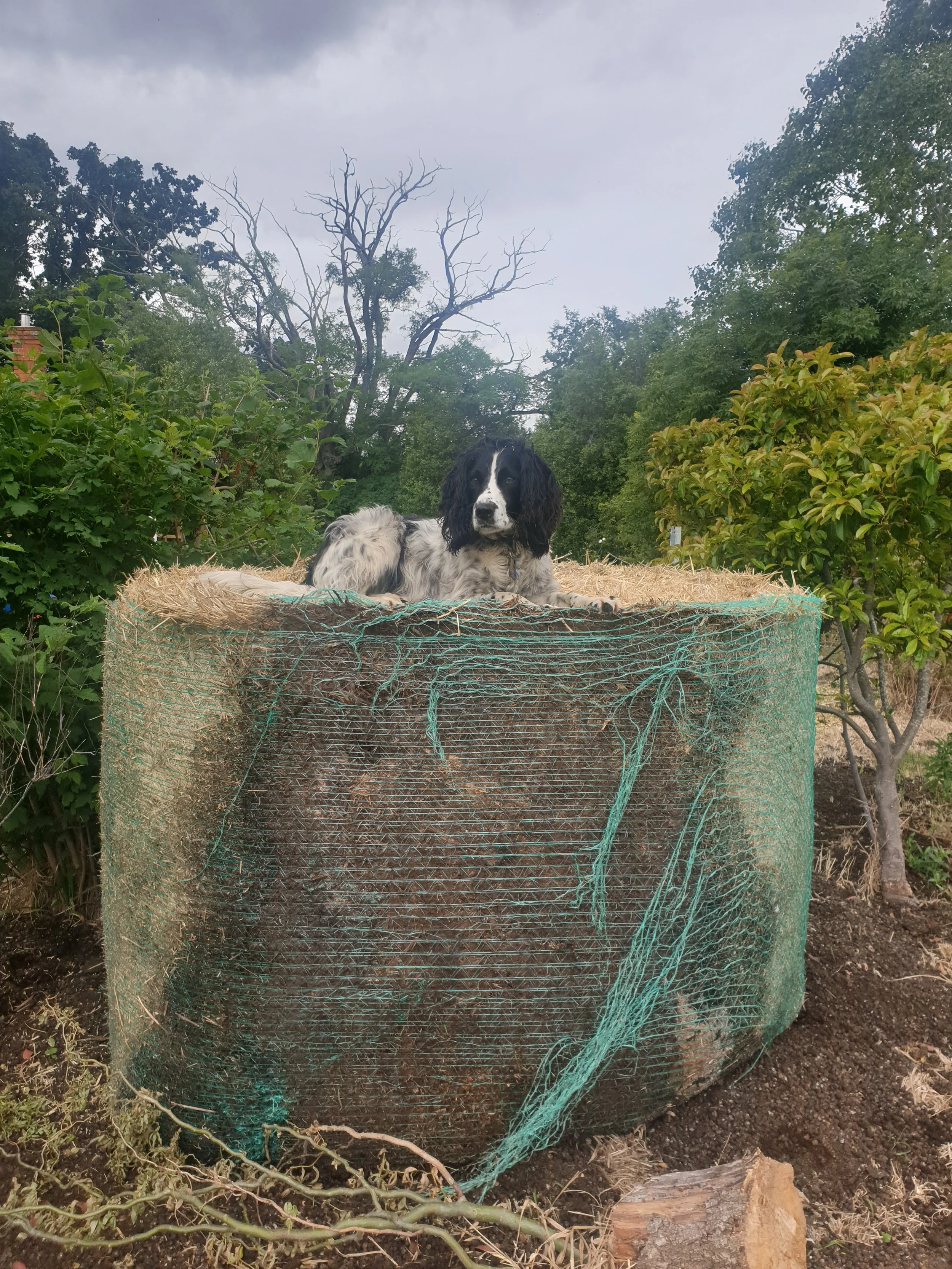 Project Four - Rock House Garden Mulch 02.jpg