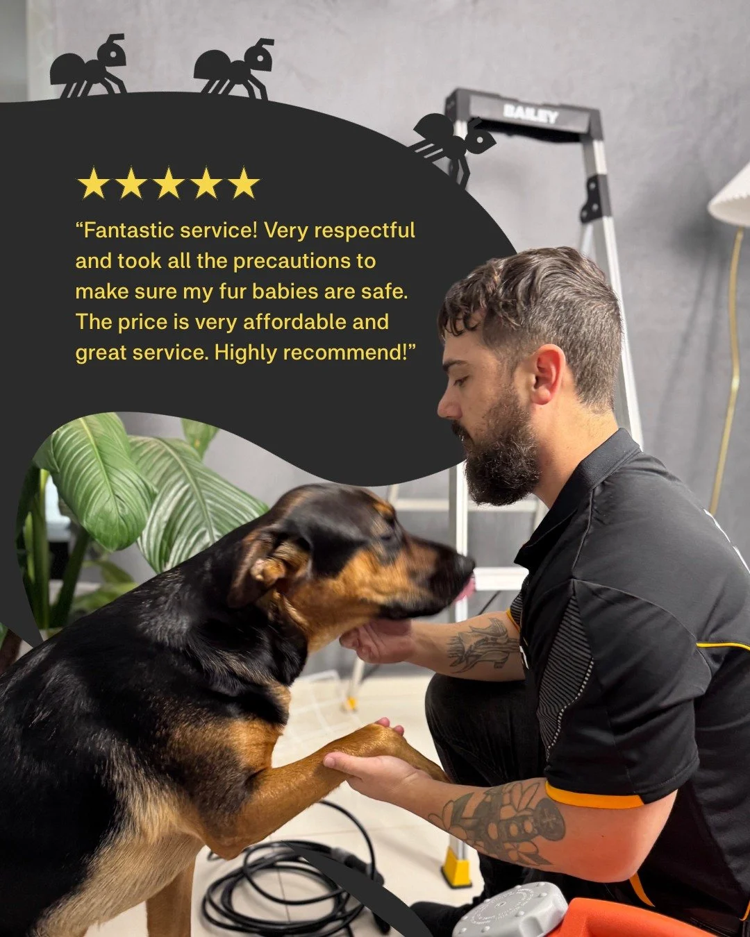 ⭐️⭐️⭐️⭐️⭐️ We love hearing feedback like this! 🐶
Keeping your home pest-free is important, but making sure your fur babies are safe and comfortable will always be our top priority.
Because a happy home means happy pets too. 🐾
#PestHouse #5StarRe