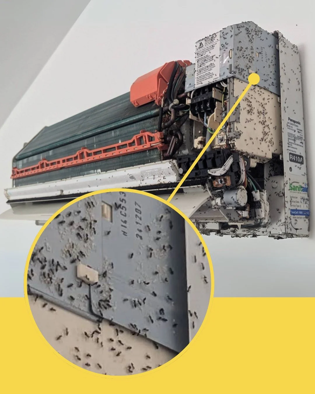 When ants decide your aircon is the perfect place to move in&hellip; 🐜❌
Yep, they don&rsquo;t just raid the kitchen, they can take over your systems too.

That&rsquo;s why we look after both your pest control and your air conditioning. Clean, cool, 
