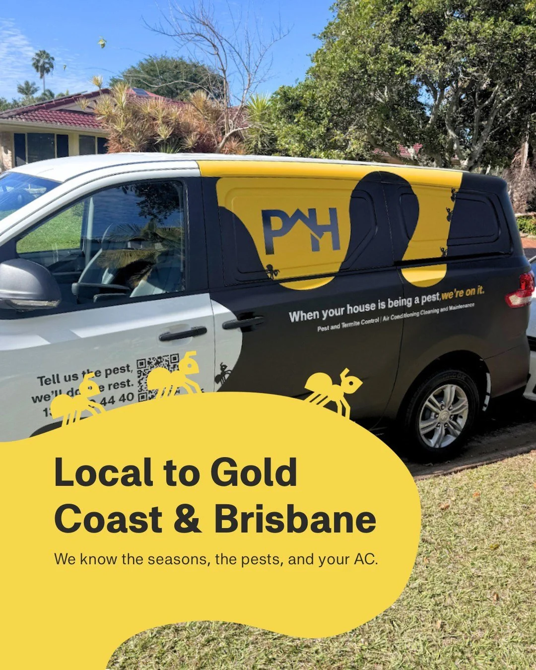 Local to Brisbane and the Gold Coast 🏡 We know the seasons, the pests, and your aircon, inside out. That&rsquo;s why Pest House keeps your home cooler, cleaner, and pest-free all year round.

#PestHouse #Brisbane #GoldCoast #PestControl #AirConClean