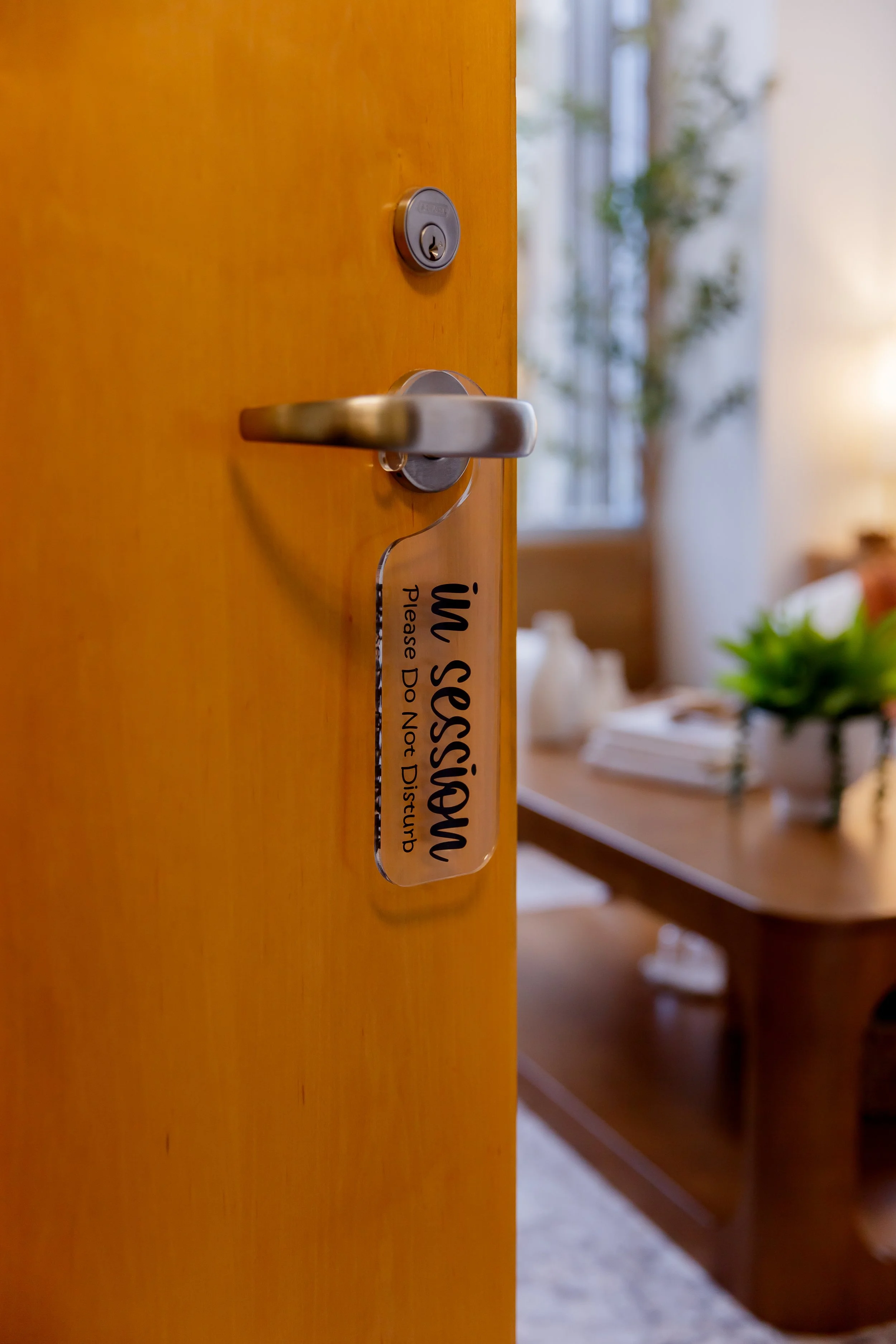 Interior office door with a sign that says 'iv Session please Do Not Disturb', door handle, keyhole, and a blurred background of a desk with a plant and window.