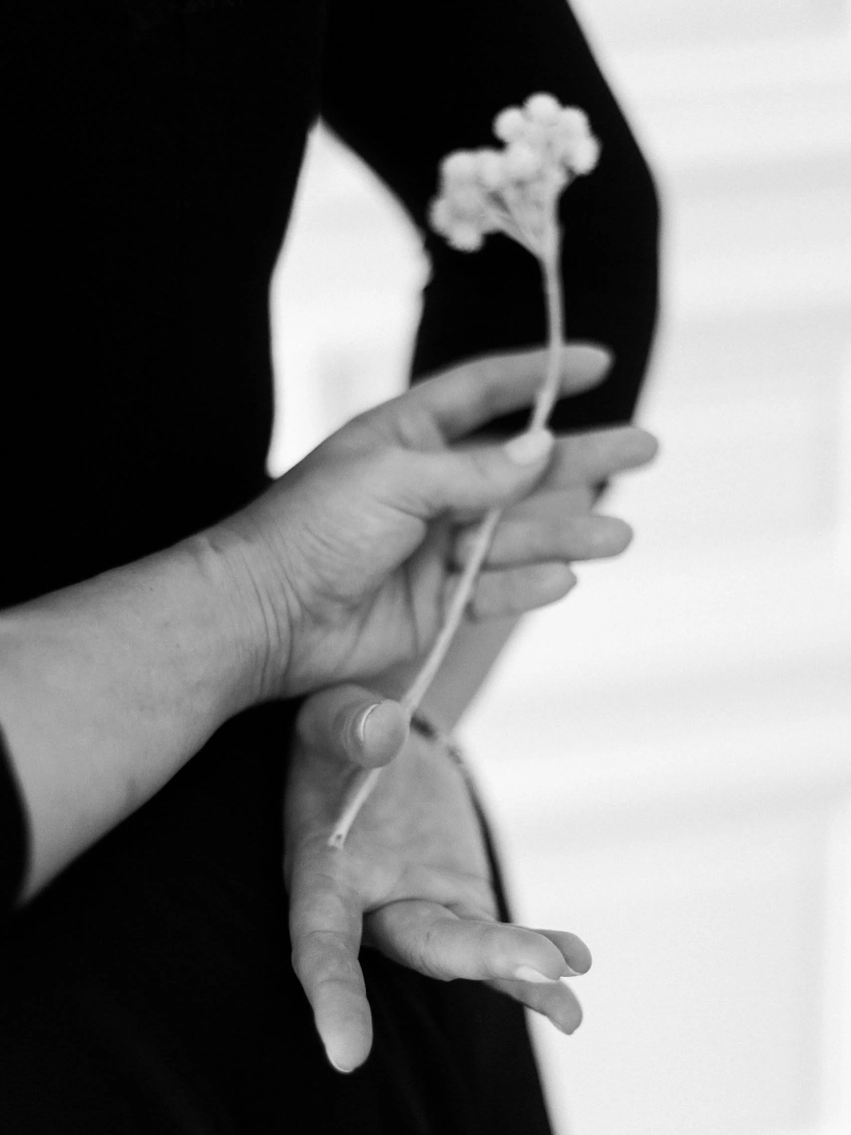 La douceur est une puissance.

Et je vous invite &agrave; en mettre dans chaque chose.

Il y a une force immense dans la d&eacute;licatesse.
Une histoire.
Une pr&eacute;sence qui n&rsquo;a pas besoin de s&rsquo;imposer pour exister.

C&rsquo;est pour