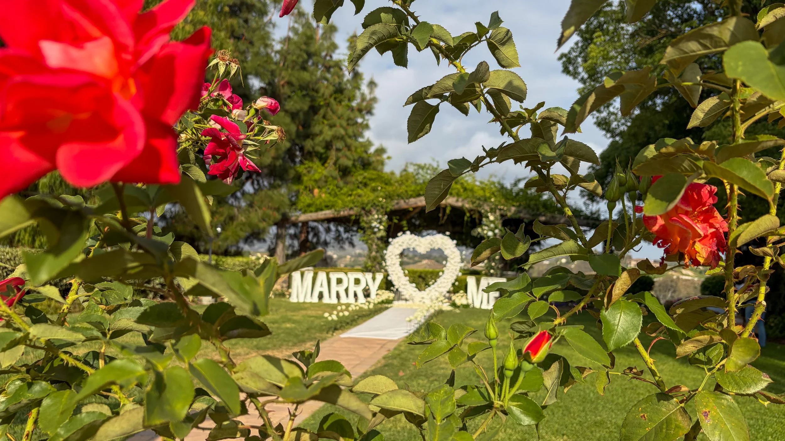 Grand heart arch marry me marquee letters with a rose petal pathway aisle runner overlooking the vineyard with  red roses framing the shot