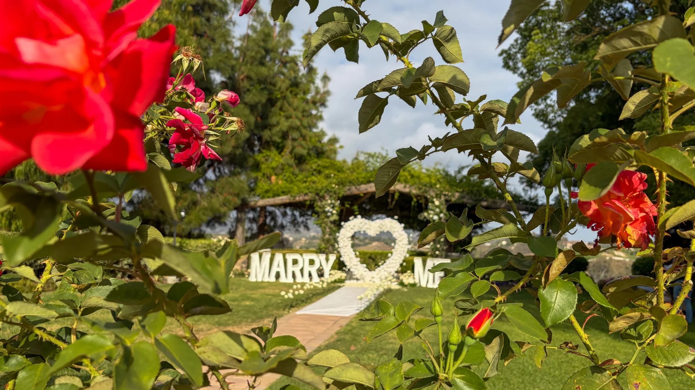 Grand heart arch marry me marquee letters with a rose petal pathway aisle runner overlooking the vineyard with  red roses framing the shot
