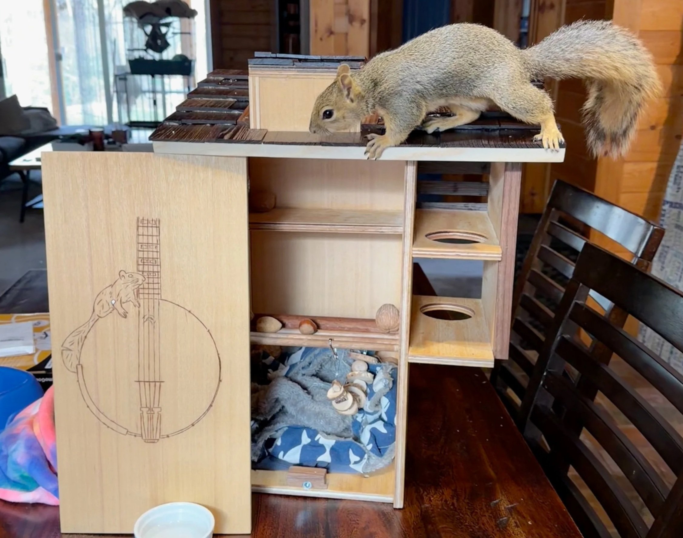 Banjo