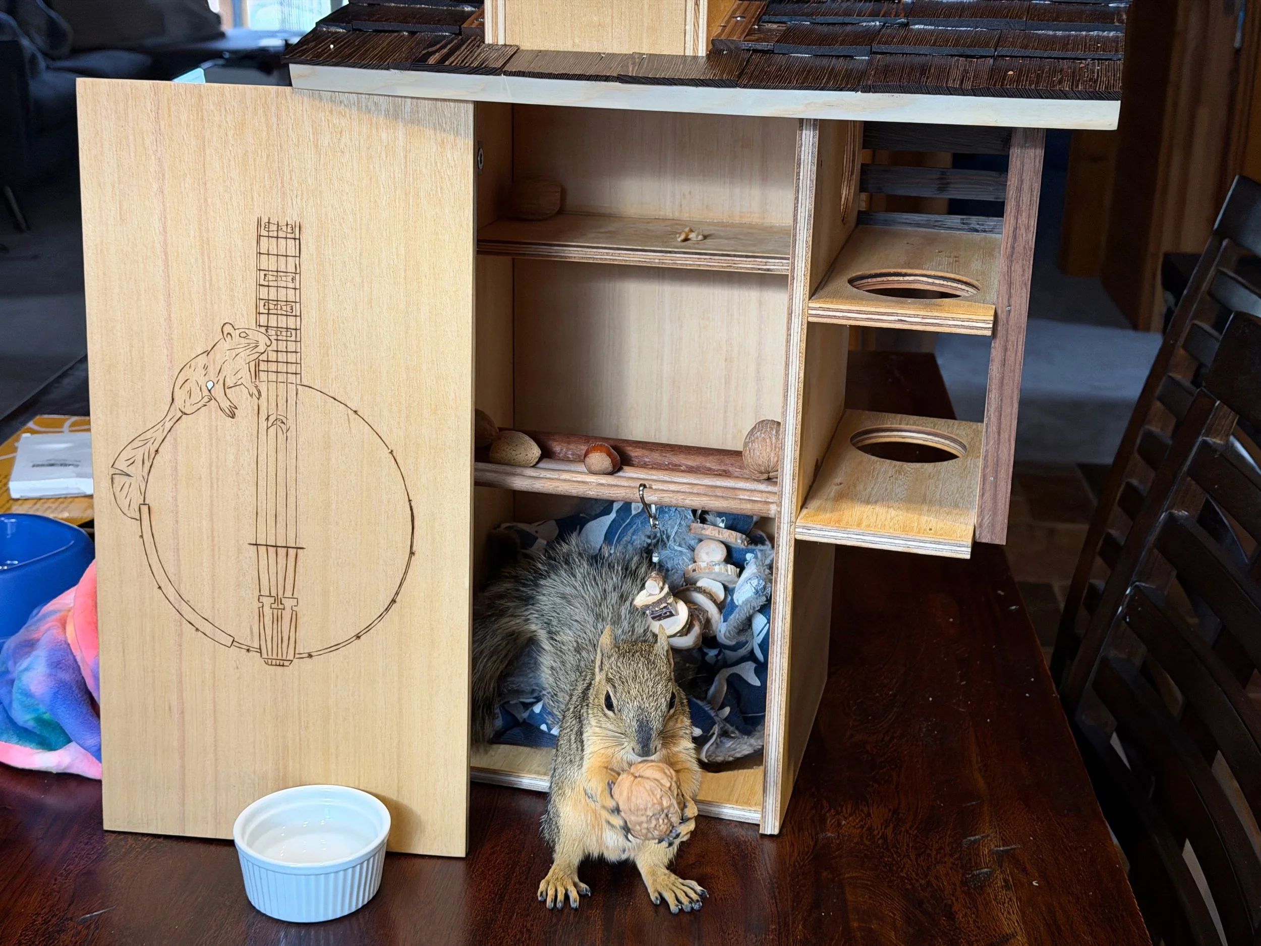squirrel_box_open.jpeg