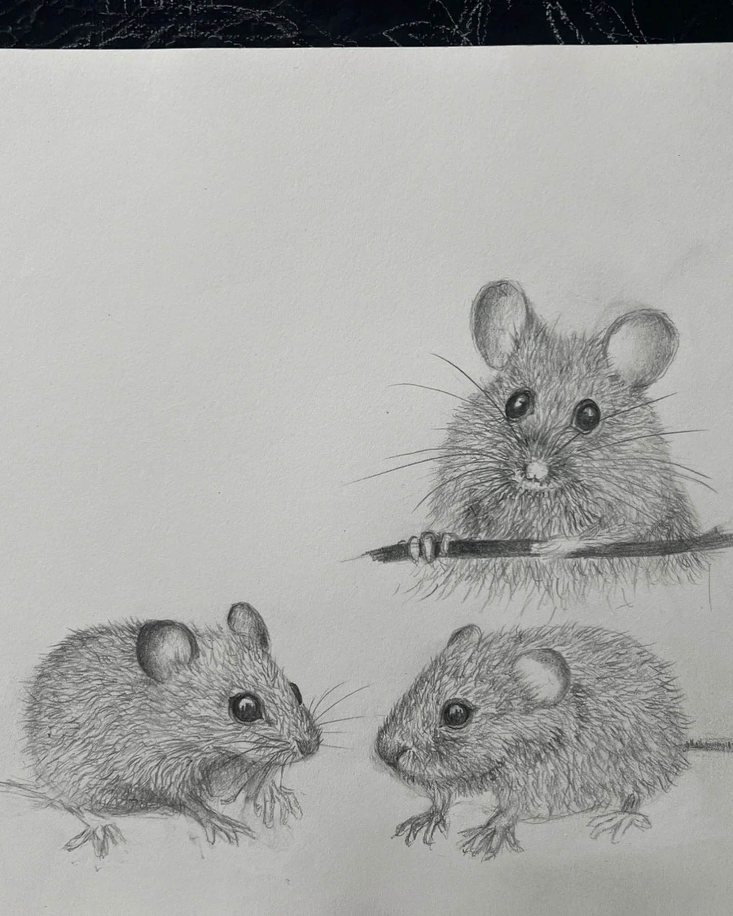 Le tout d&eacute;but d&rsquo;une histoire courte dans le potager - huile sur toile en cours de r&eacute;alisation