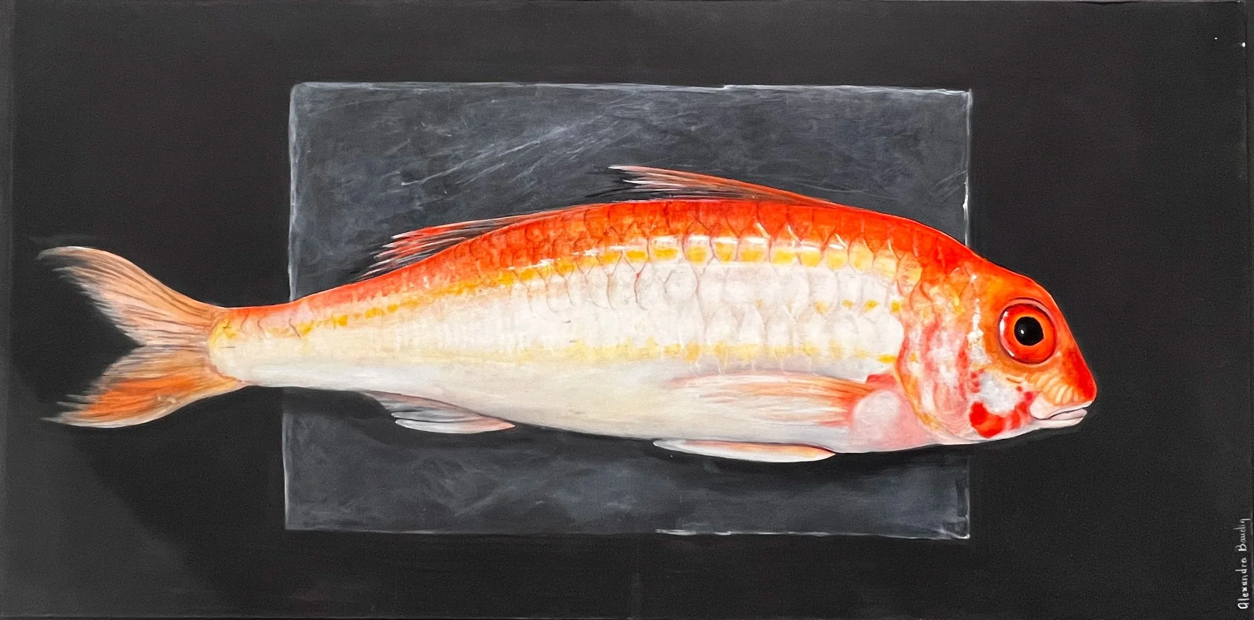 "Rouget barbet" huile sur bois 50x100