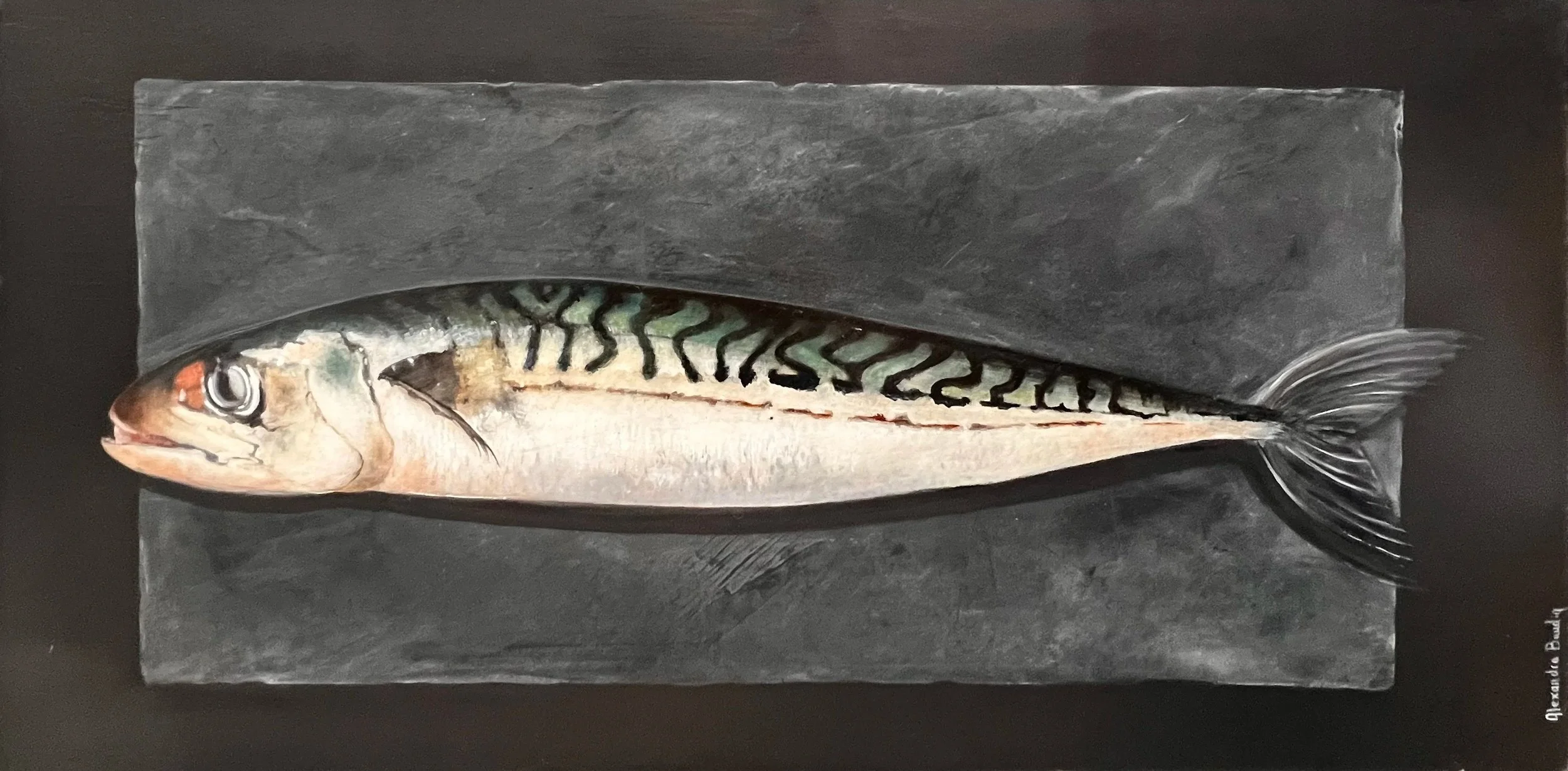 "Maquereau" huile sur bois 50x100