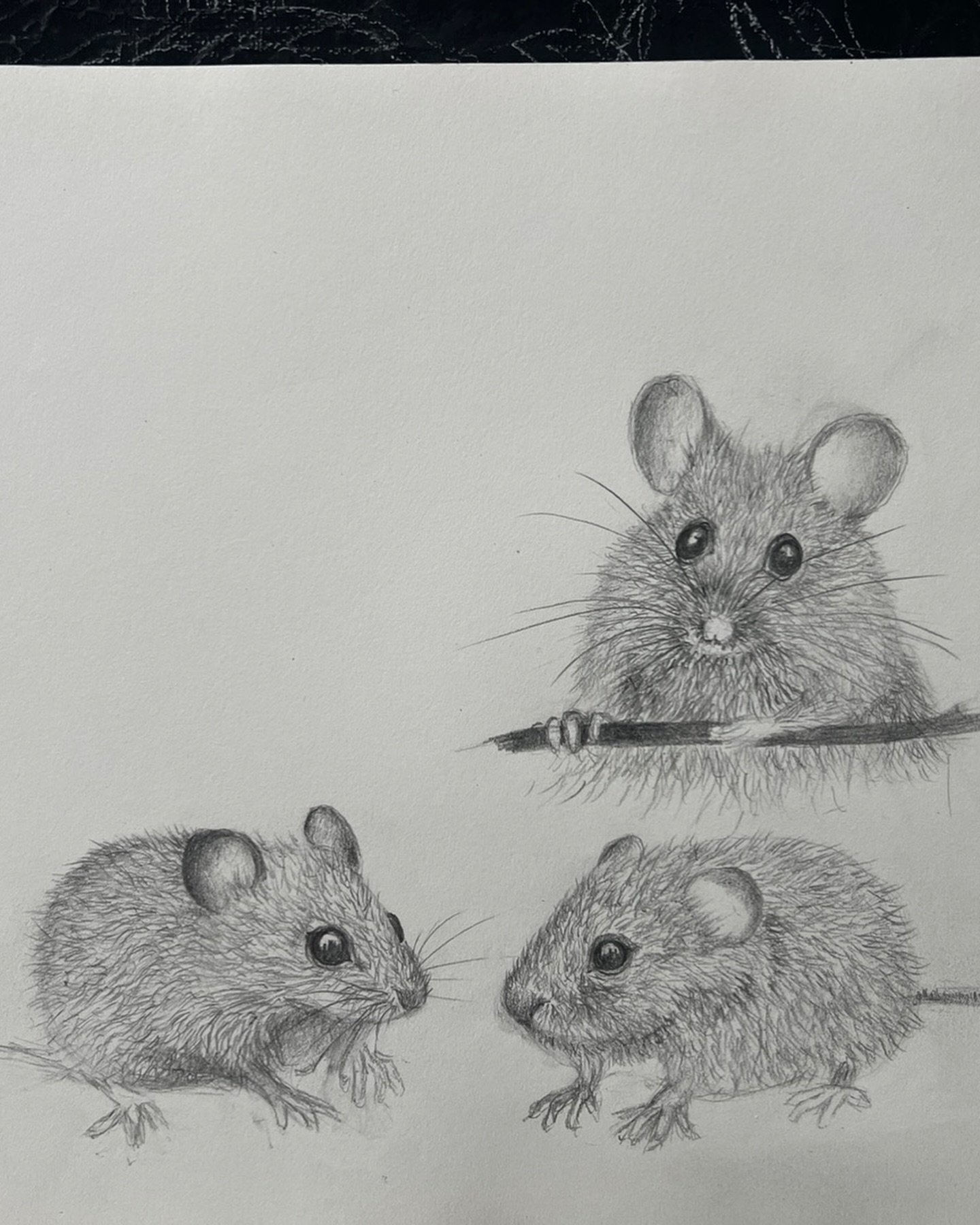 Le tout d&eacute;but d&rsquo;une histoire courte dans le potager - huile sur toile en cours de r&eacute;alisation