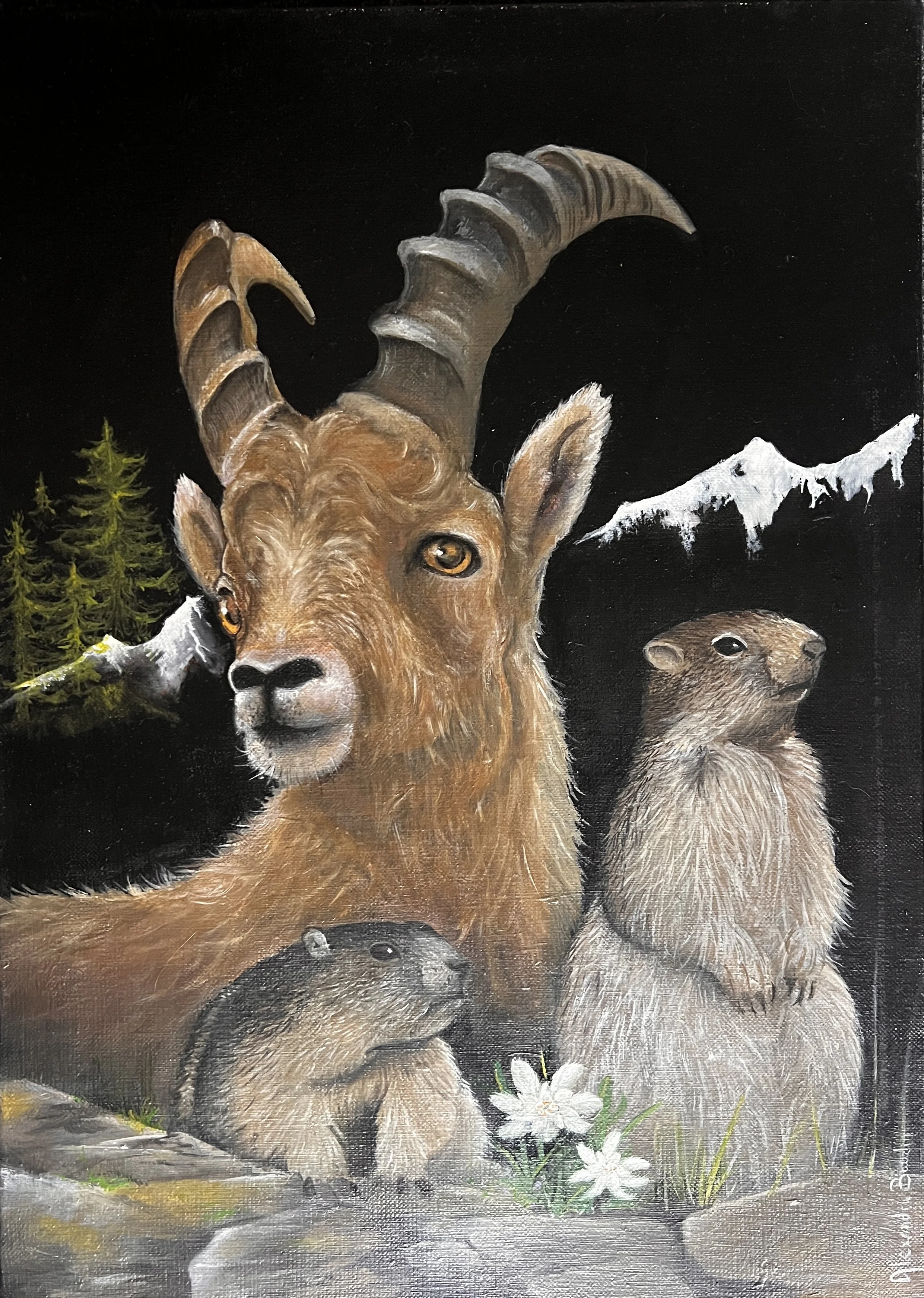 "Marmotte et chamois" huile sur toile 33x46
