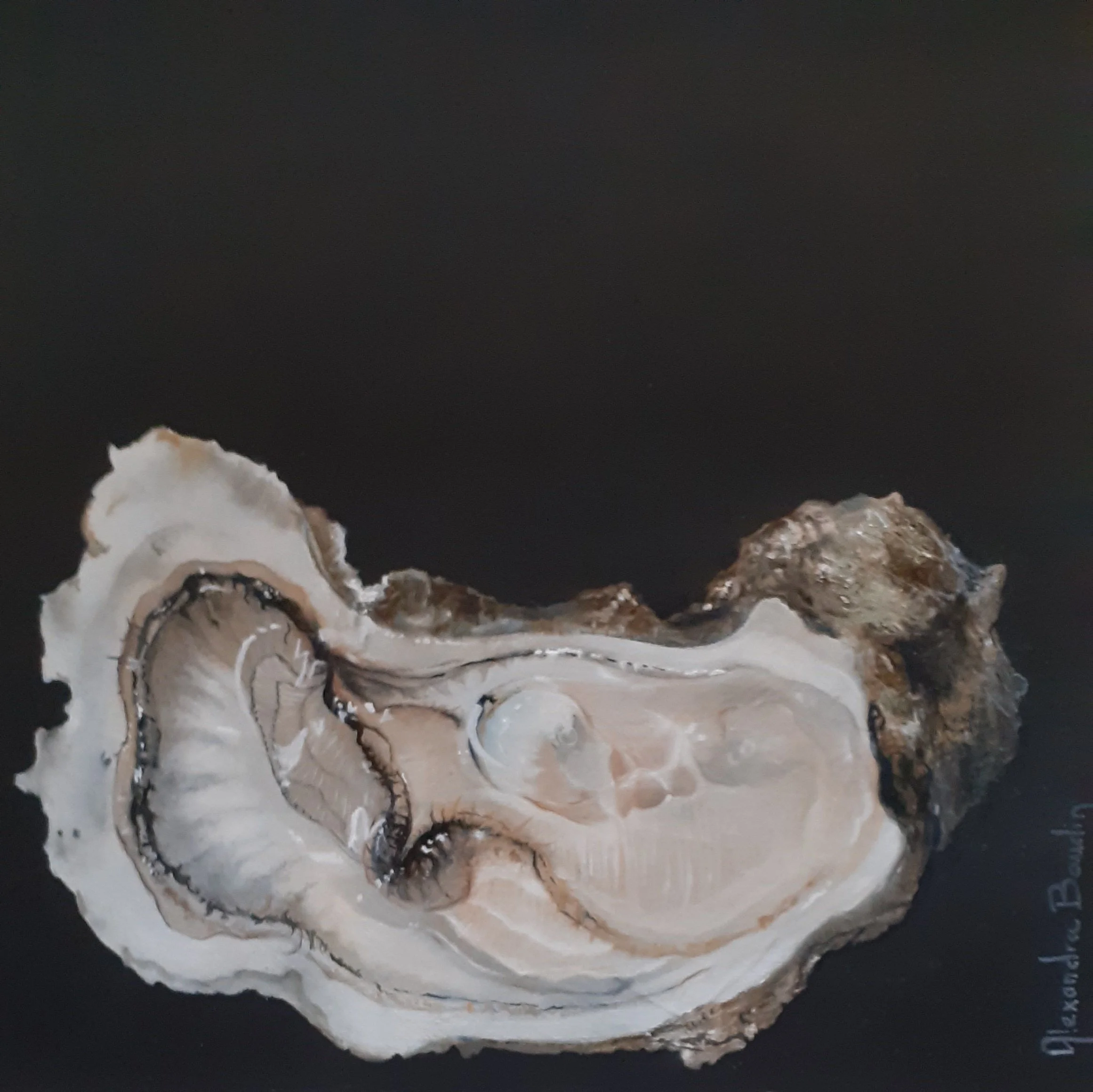 Tout en dentelle .jpg