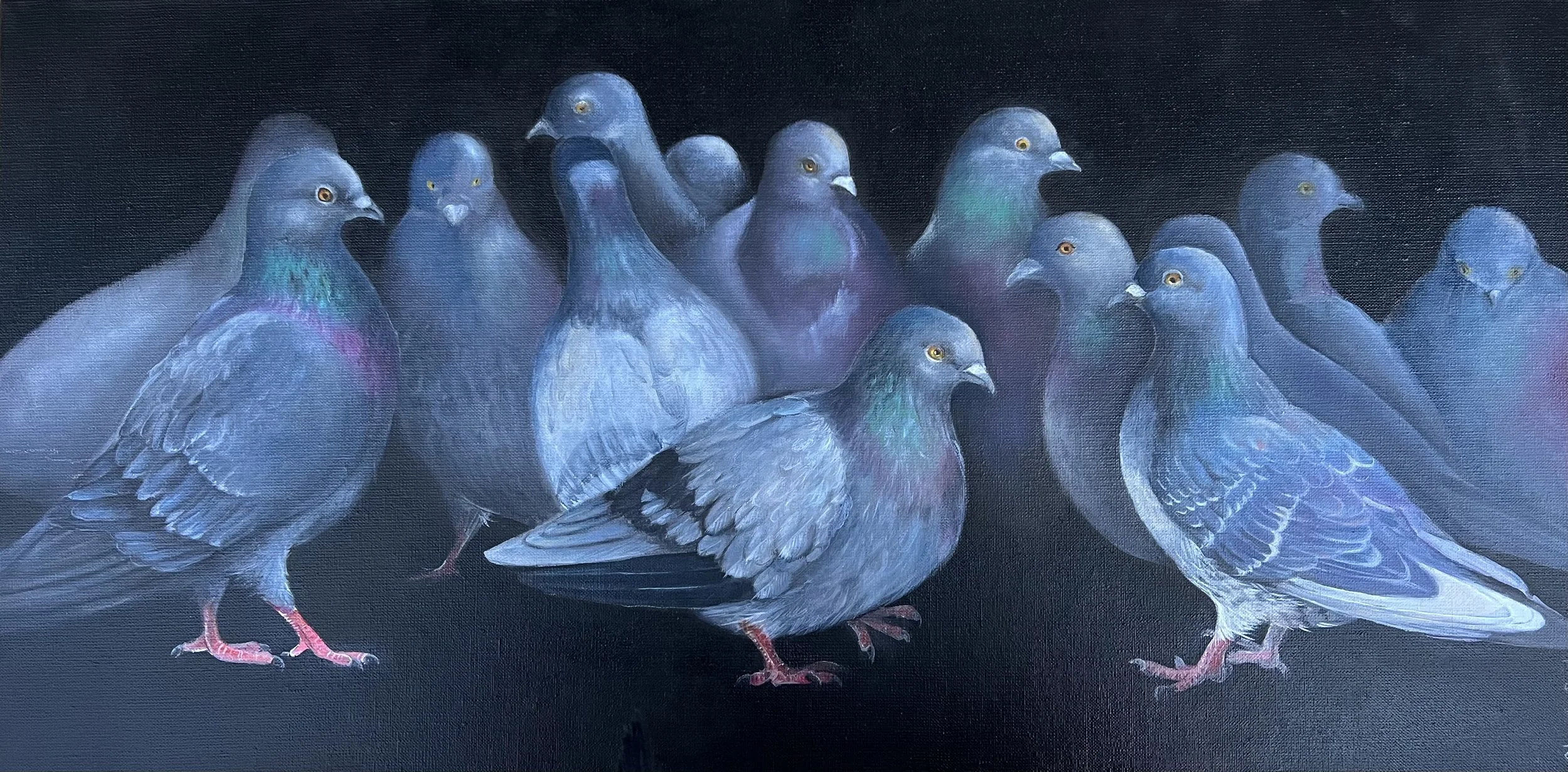 "Quand un pigeon....." huile sur toile 40x80