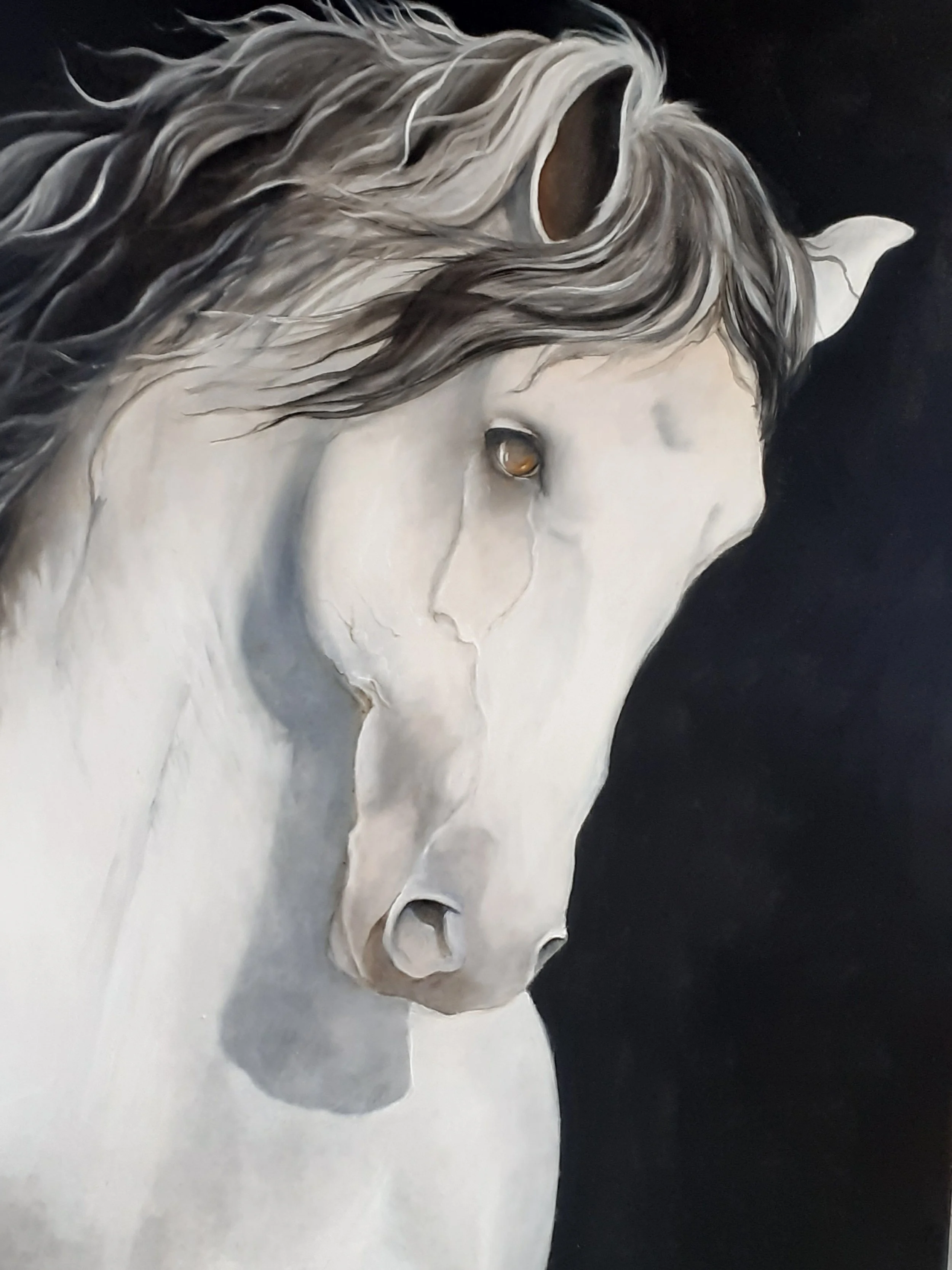"Cheval blanc" huile sur toile 70x100