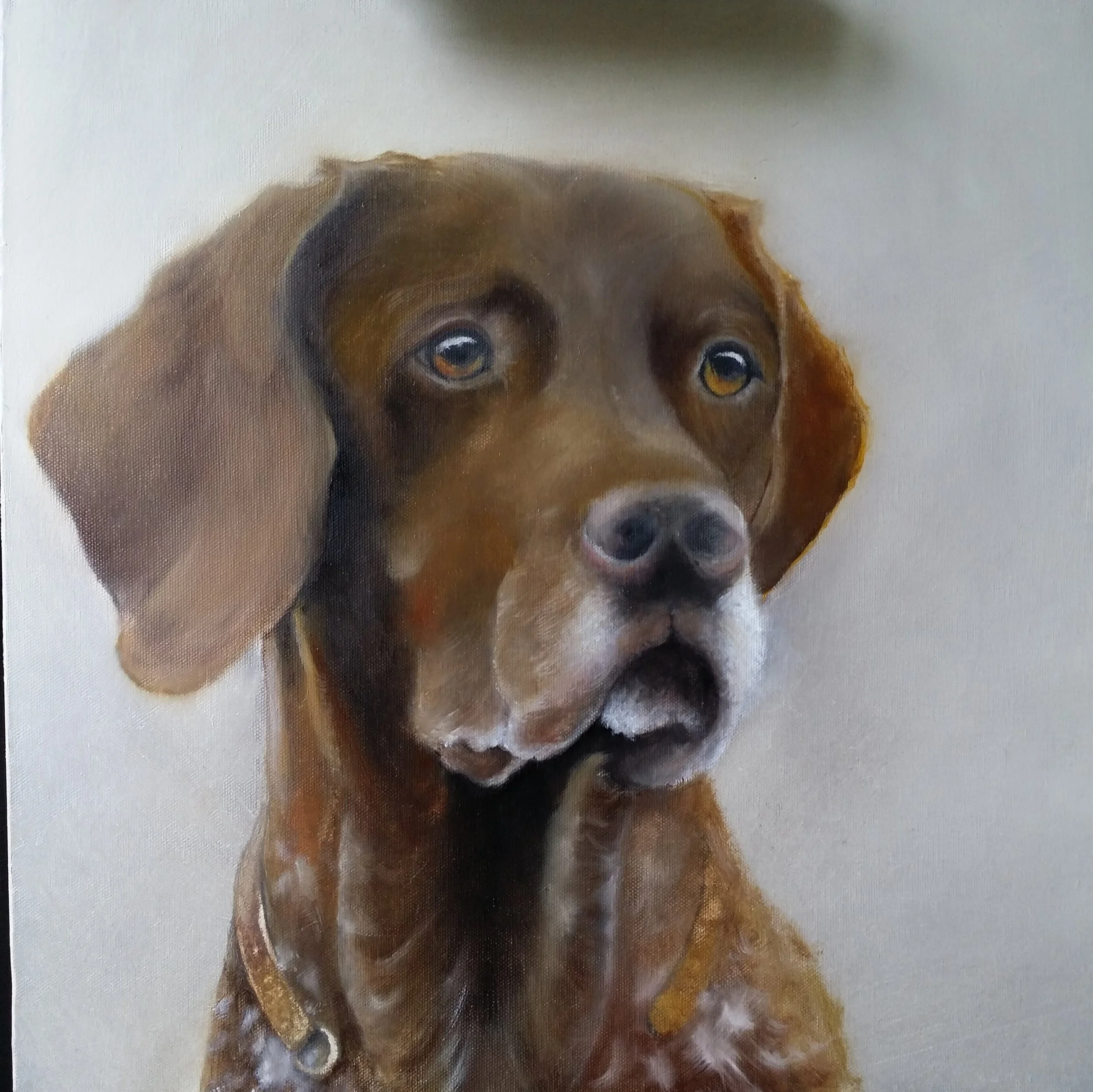 "Braque"huile sur toile 50x50