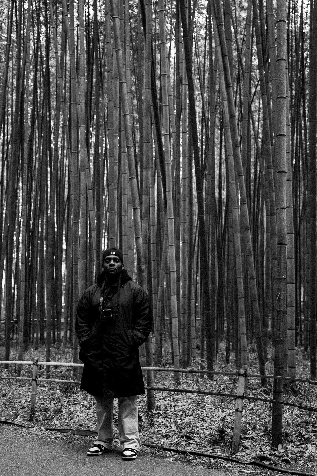 Arashiyama Bamboo Grove, Kyoto