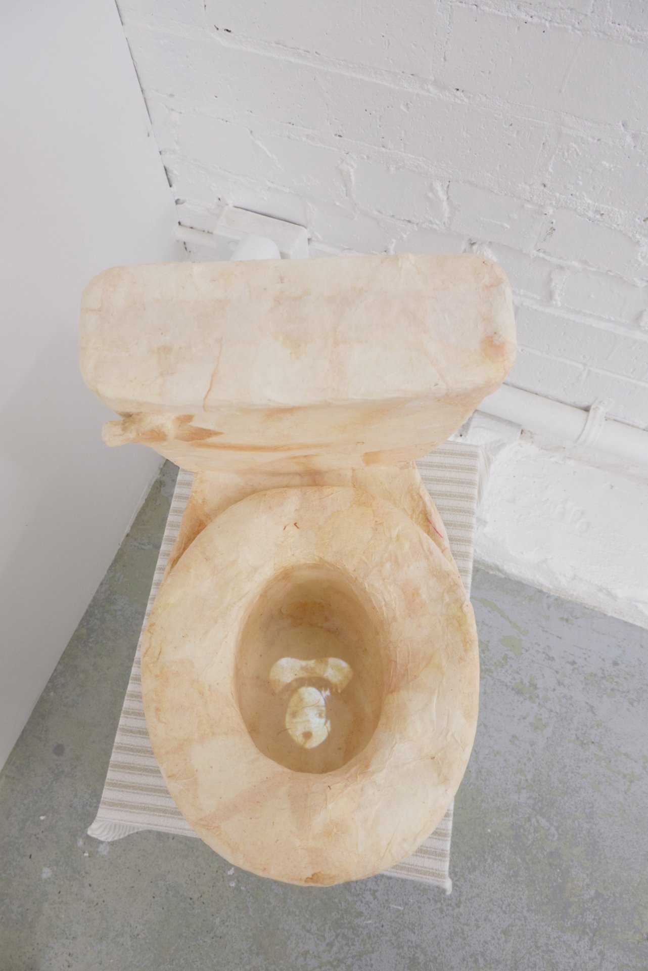 DSCF2771.jpg