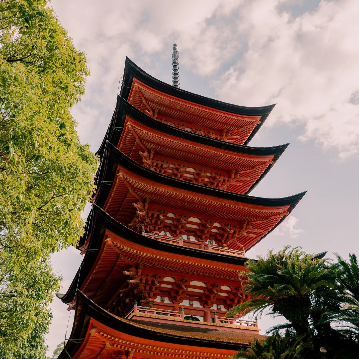 Snaps of Miyajima⛩️ 

Catching up on the Japan posts slowly

#japan #japantravel #japantrip #japanphoto #japanphotography #miyajima #miyajimaisland #travel #travelphotography #travelgram #travelpics #travelling #photooftheday #photographers #photoeve
