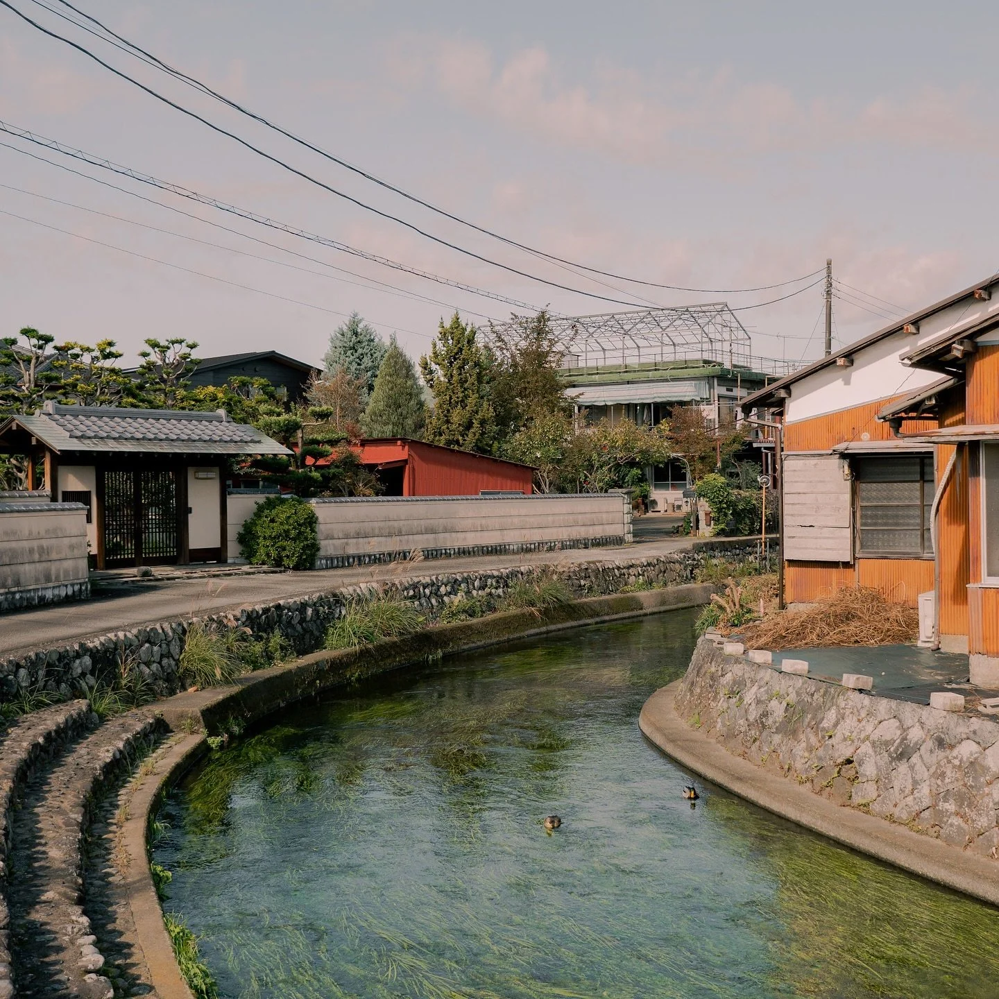 A cycle around Fuji
Pt. 1

#japan #japantrip #japantravel #fuji #mountfuji #mtfuji #fujinomiya #cycling #bikeride #cycleday #travelphotography #travelgram #traveling #travelphoto #japanphotography #japanphoto #photooftheday #photographylovers #nature