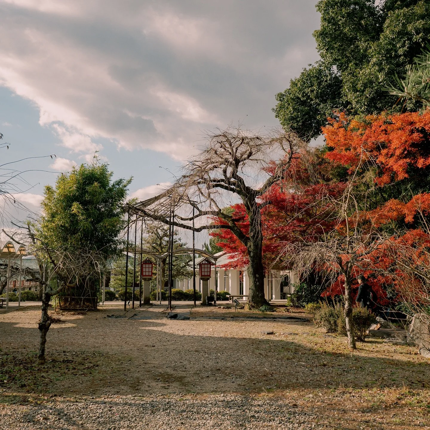 Kyoto, my favourite stop in Japan🗾

#japan #instagramjapan #visitjapan #kyoto #kyototravel #kyotojapan #kyototrip #travels #travelgram #travelling #travelphotography #travelphoto #traveljapan #travelstyle #photography #photos #photoshoot #photoshoot