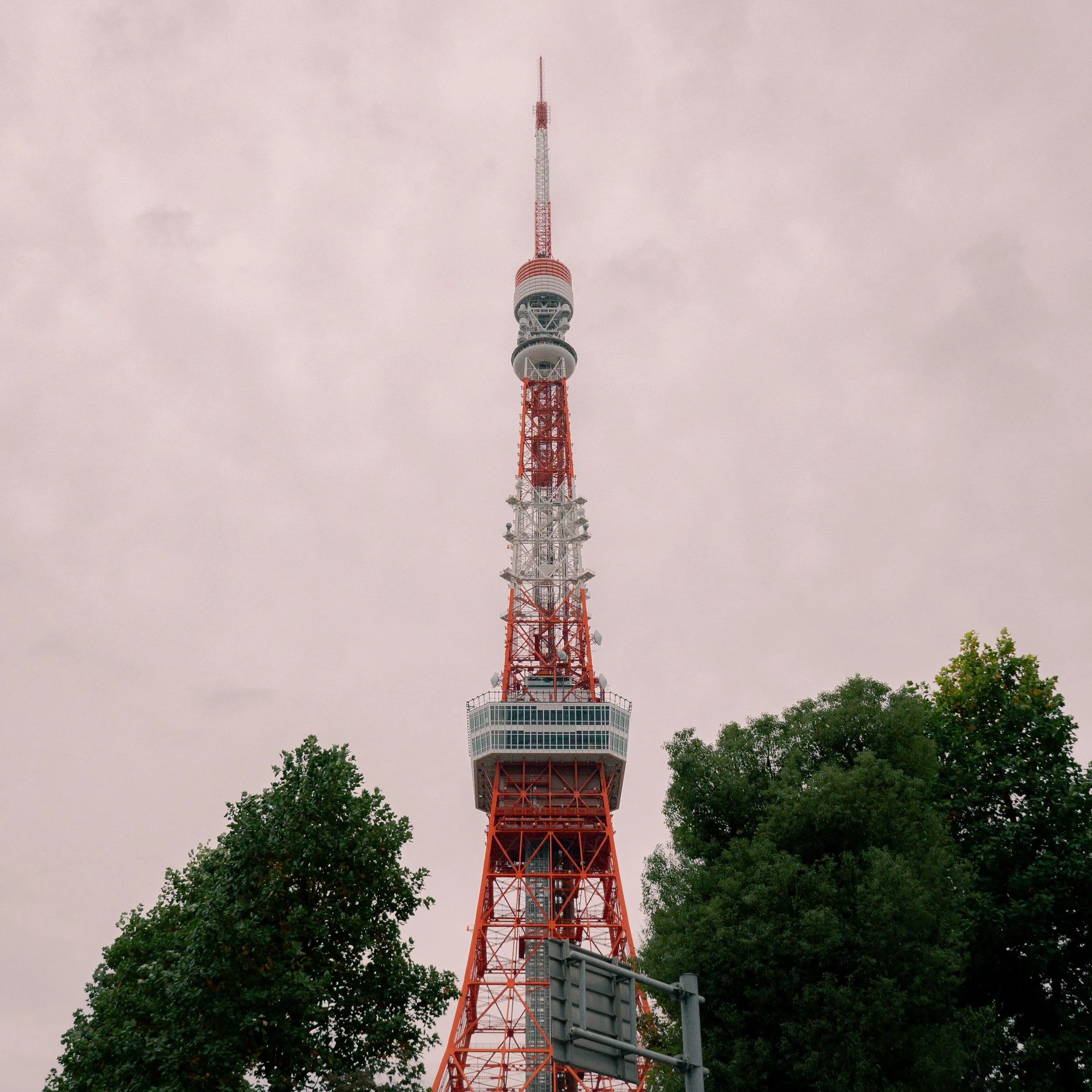 RHO_8184.jpg