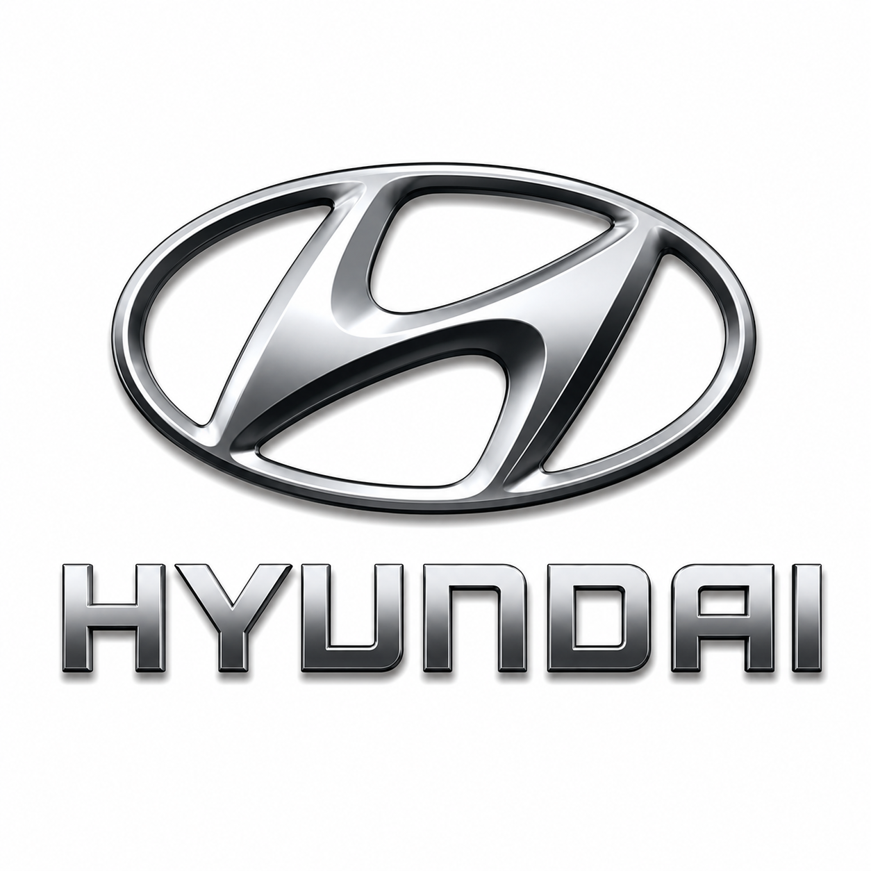 Hyundai logo with the brand name below in metallic letters.