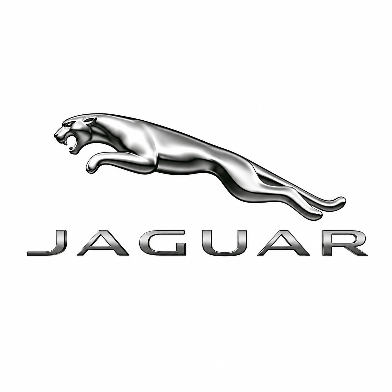 Silver jaguar logo with the word 'JAGUAR' underneath.