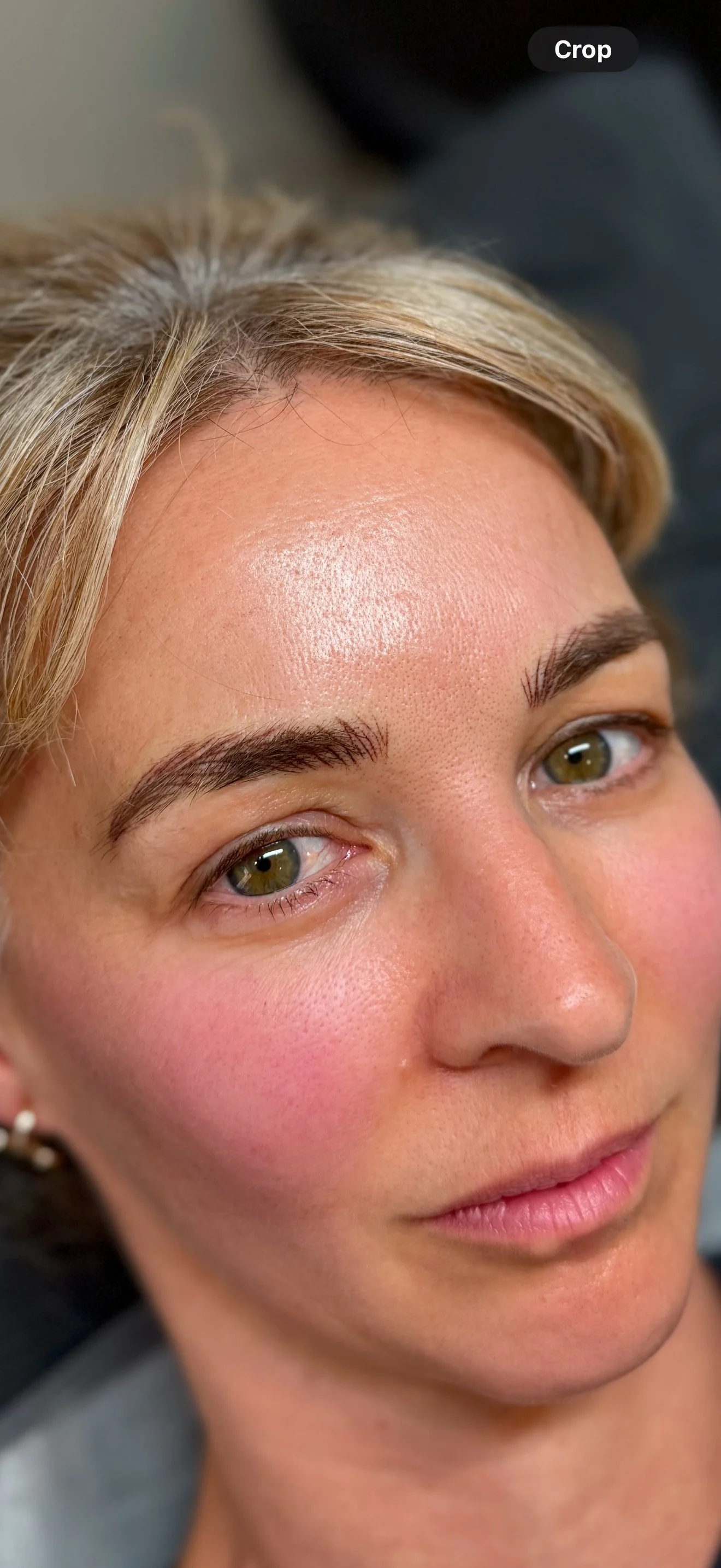 Nano_brow_tattoo_in_christchurch.JPG