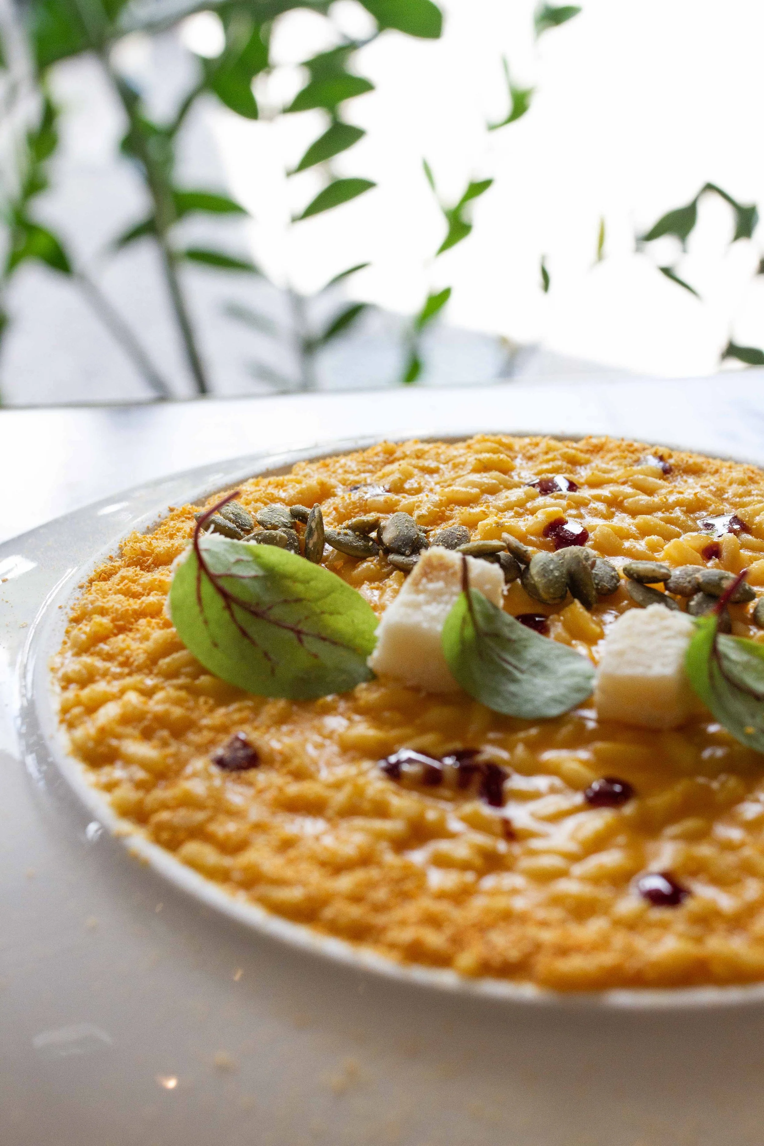 Close-up of a cheesecake topped with seeds, cheese cubes, basil leaves, and dried cranberries, on a white plate.
