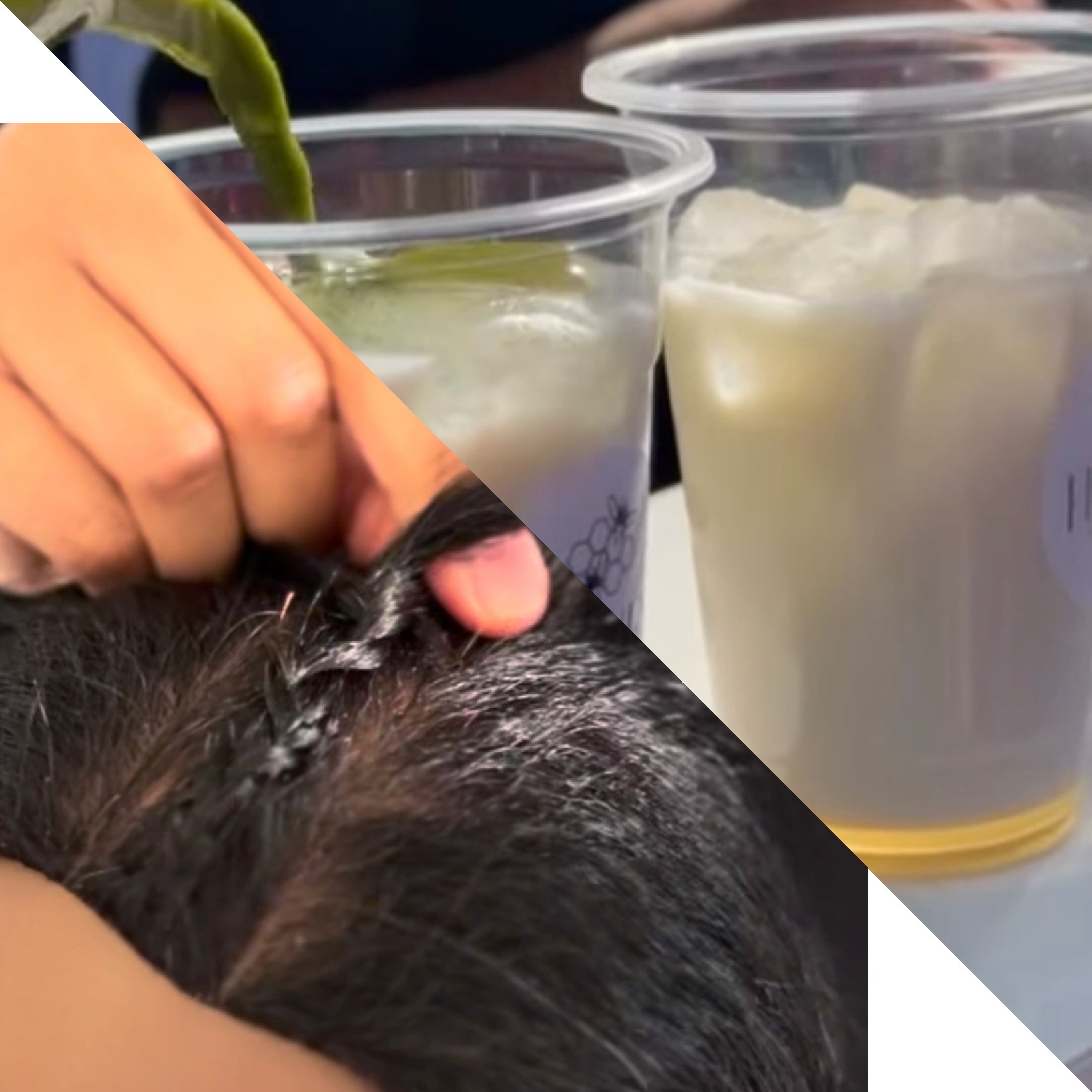 ATELIERS MATCHA & TRESSES COLLEES