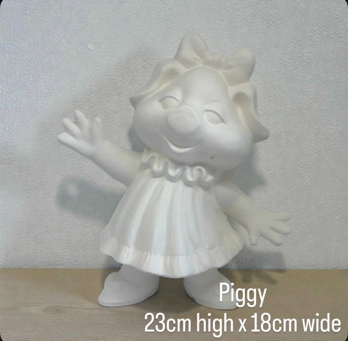 WhatsApp Image 2026-01-23 at 10.08.29 PM.jpeg