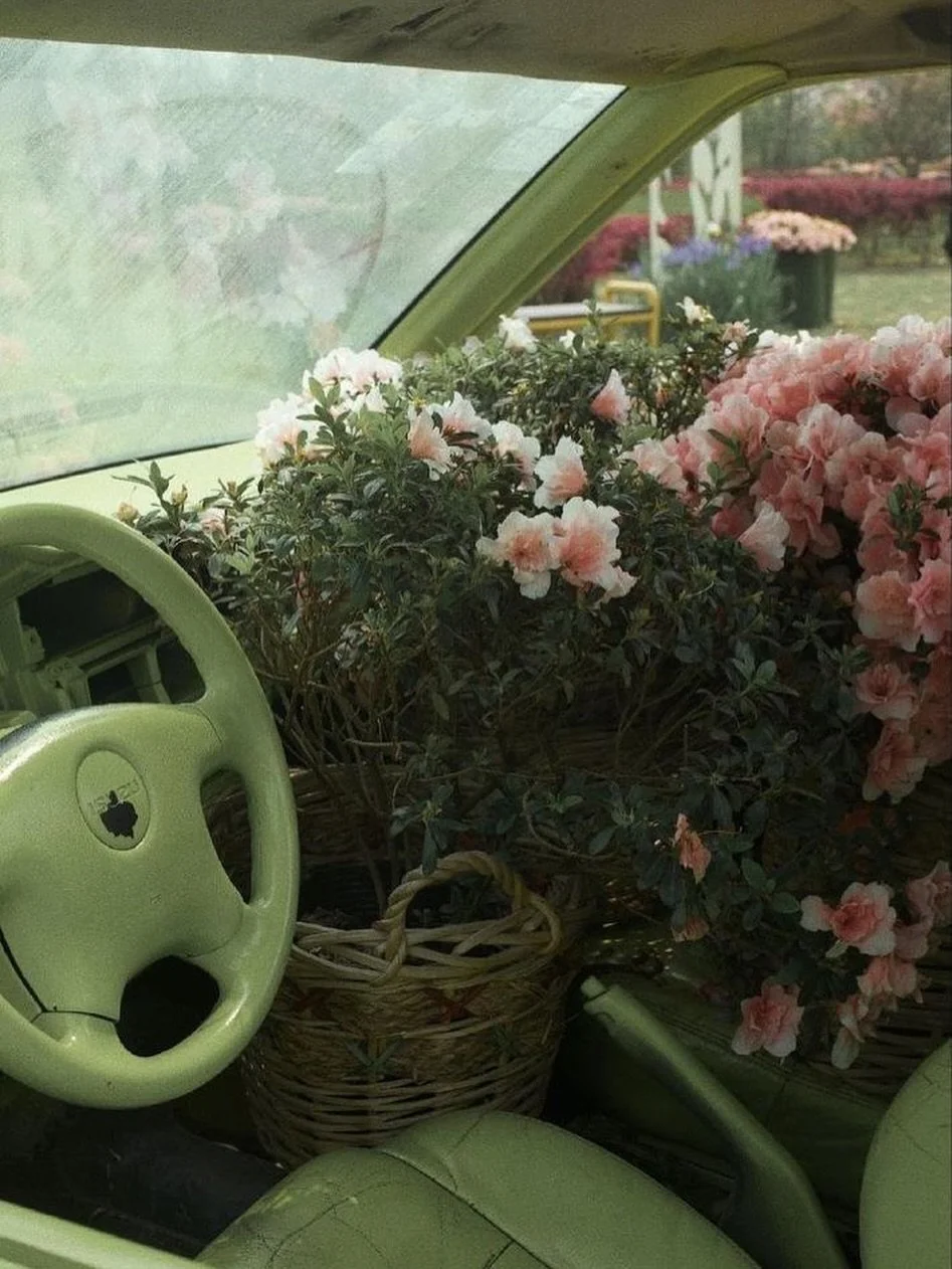 it&rsquo;s never about where you&rsquo;re going, but how you move to get there🌿