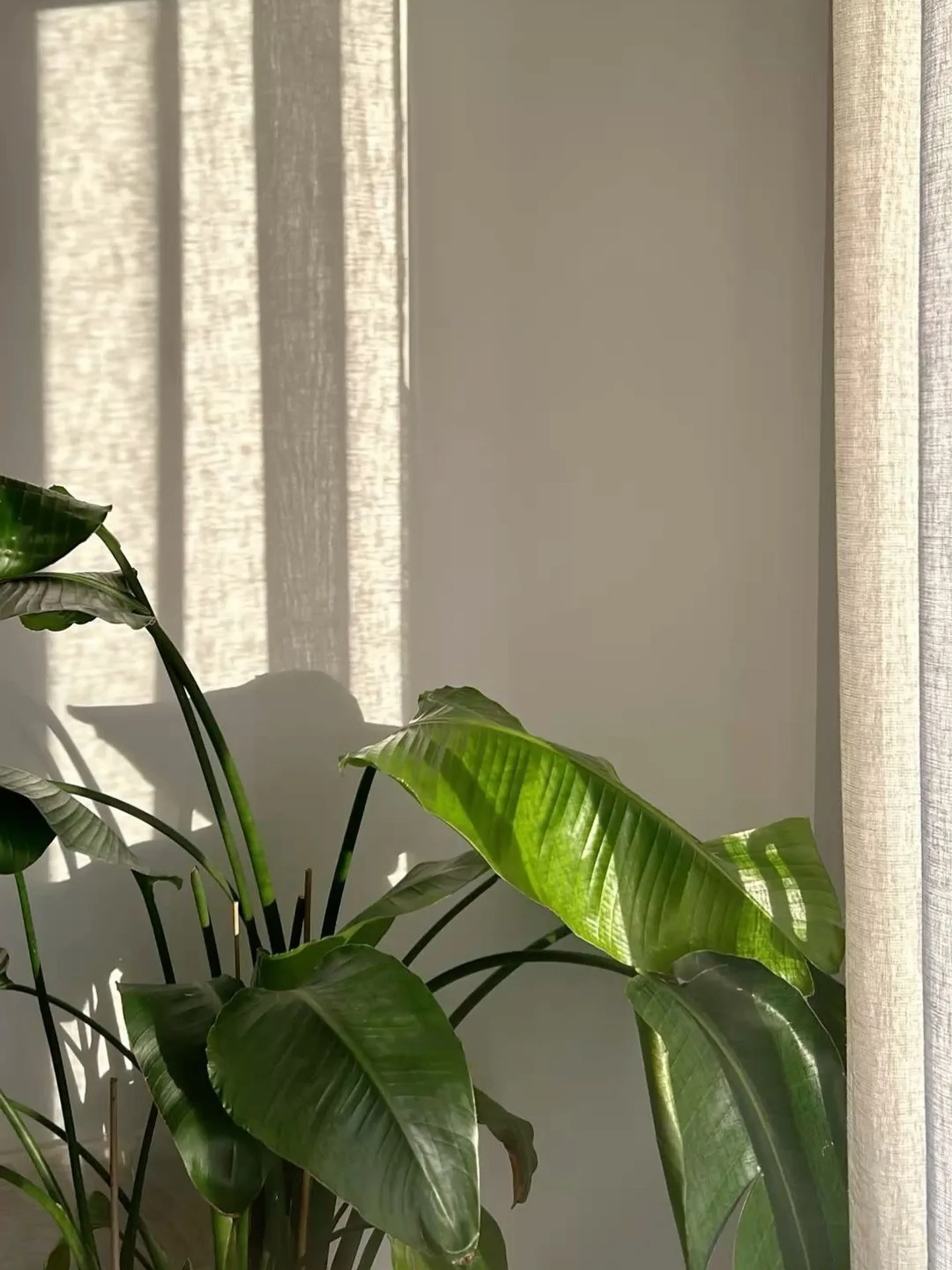 Grounded. Intentional. Present.