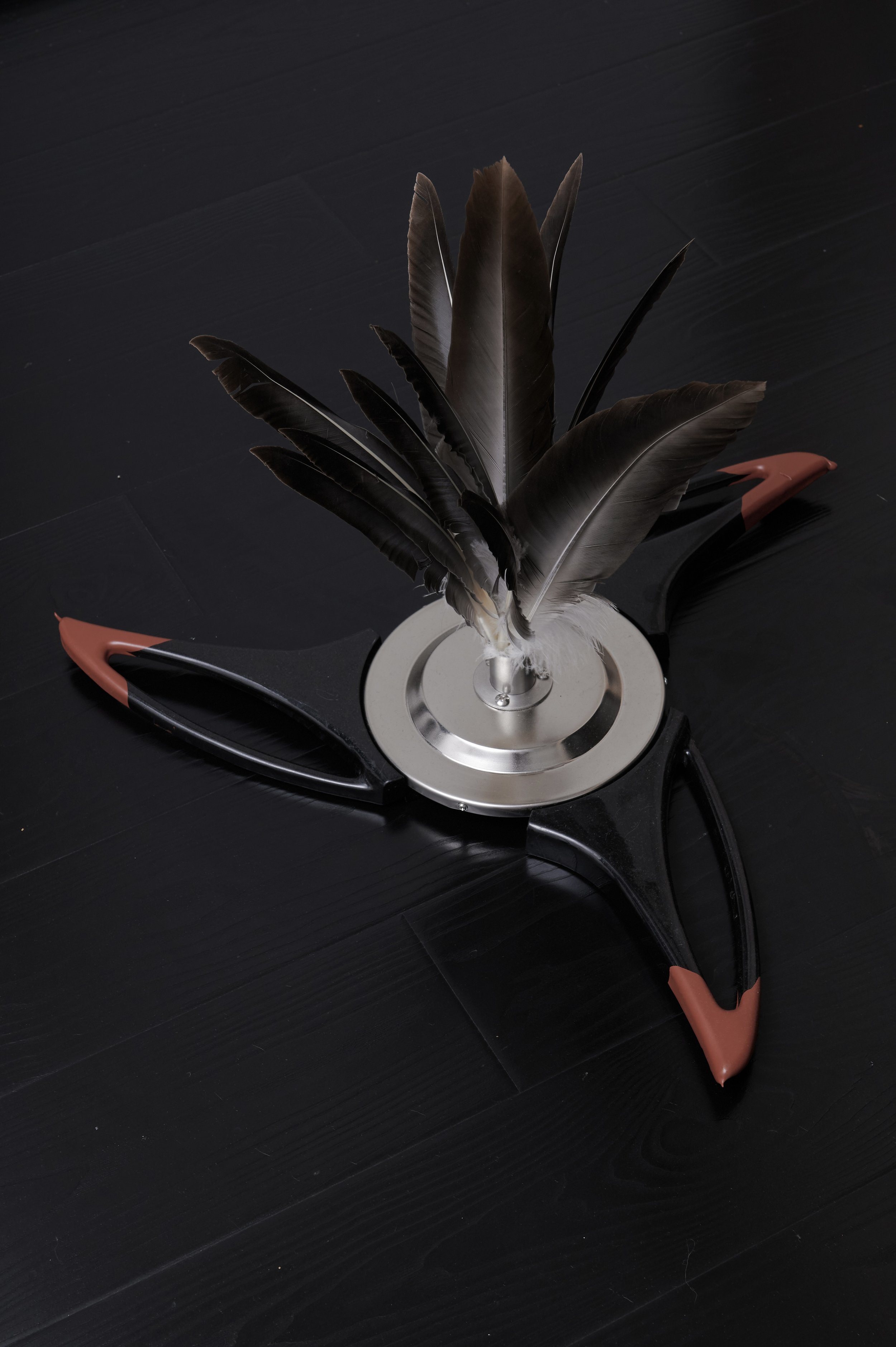 
Ascent, 2025, 32x48cm, Ceiling Fan Hardware, Acrylic Paint and Eagle Feathers 