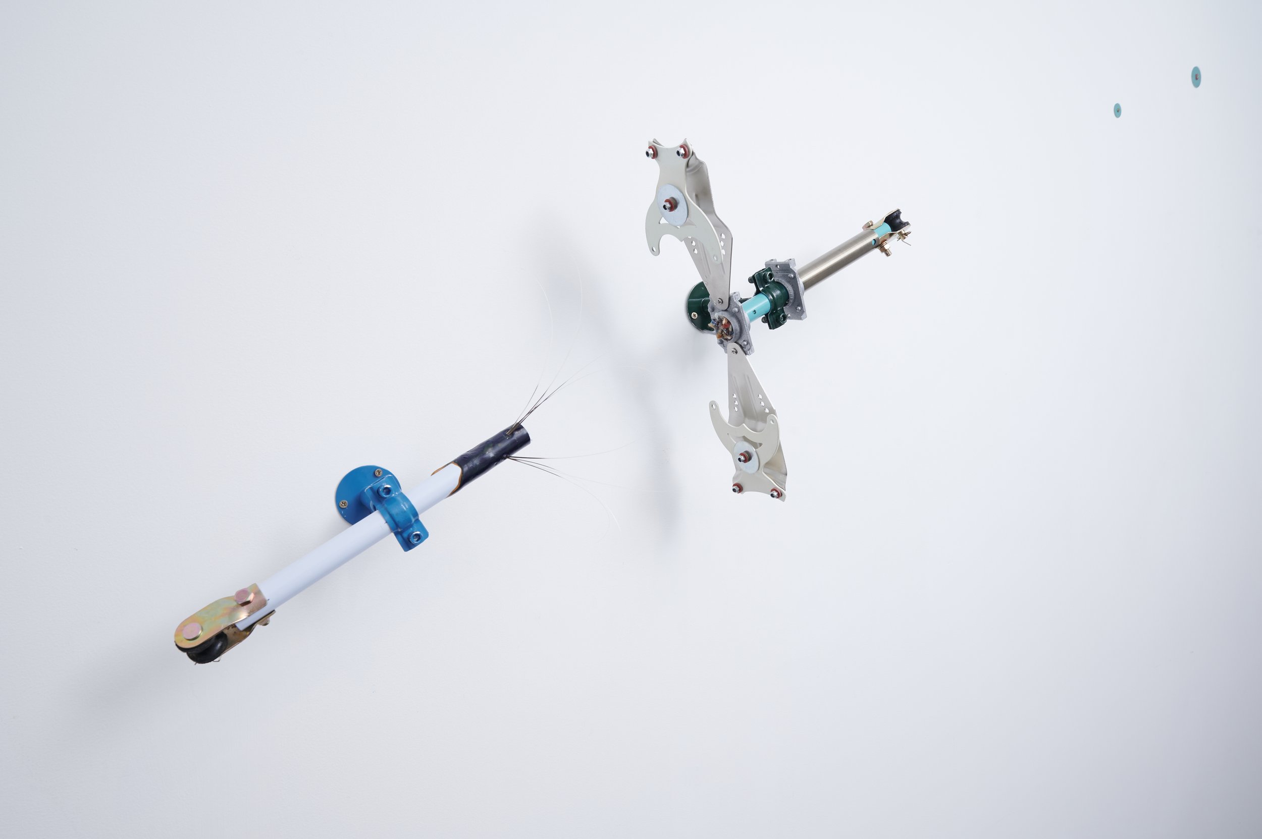 
Estimation, 2025, 75x38cm, Ceiling fan Hardwire, Pipe Clamps, Rope, Pig Whiskers, Washers and Acrylic Paint