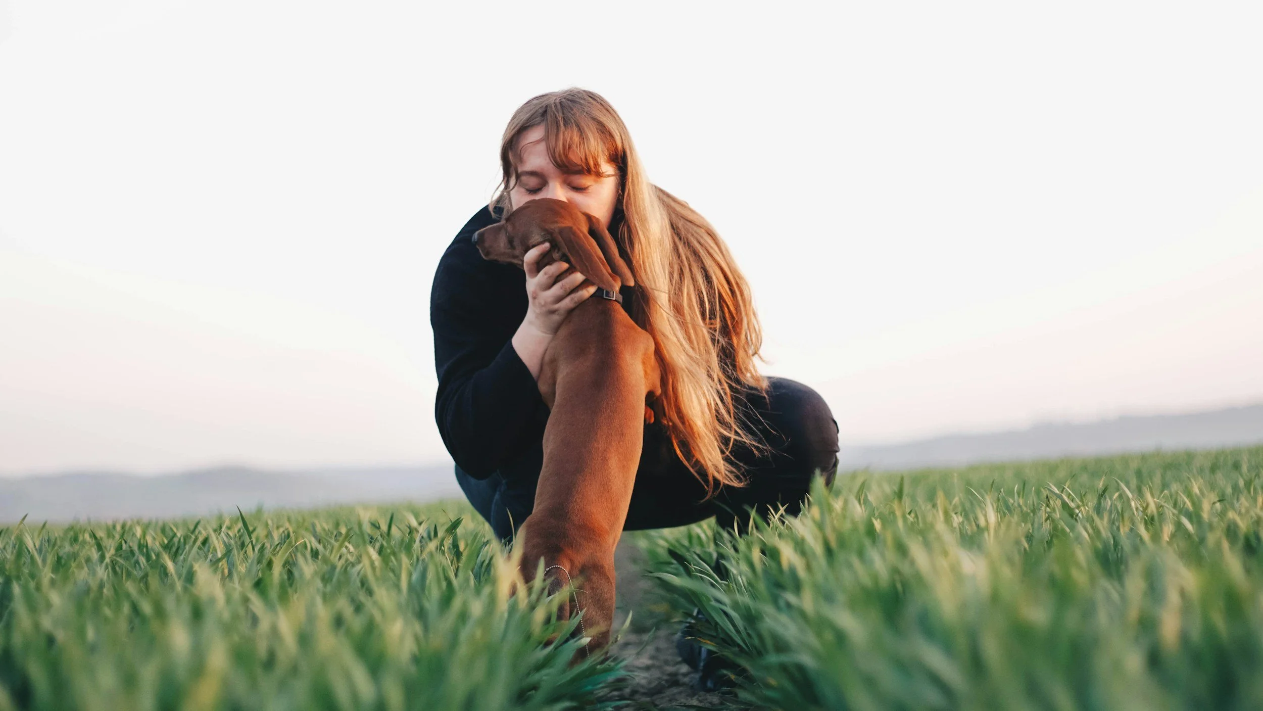  טעויות נפוצות שעושים בעלי כלבים בתחילת  האילוף
