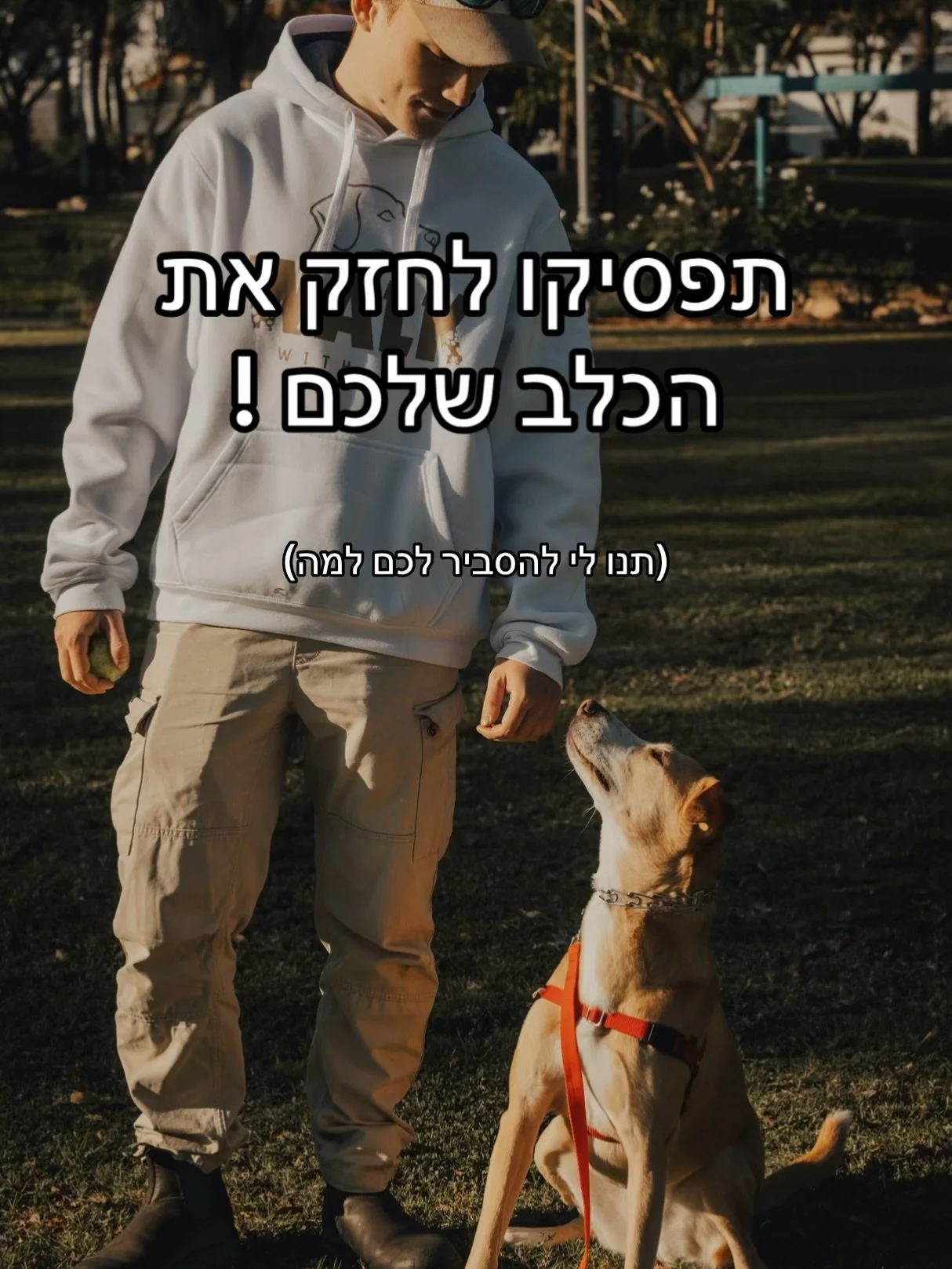 #כלב #כלבים #אילוף #גורים #טיפים