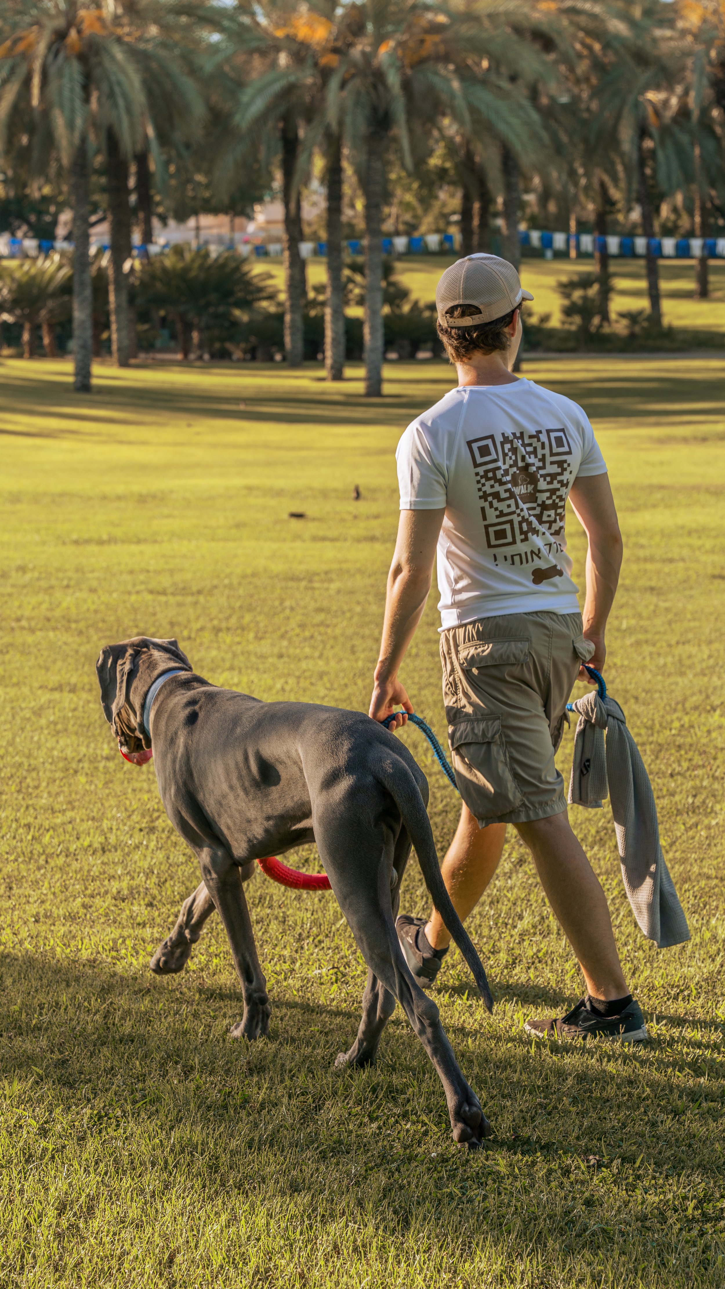 אדם מטייל עם כלב גדול בפארק, כשברקע עצי דקל, בשעות אחר הצהריים המאוחרות או בשעות הערב המוקדמות.
