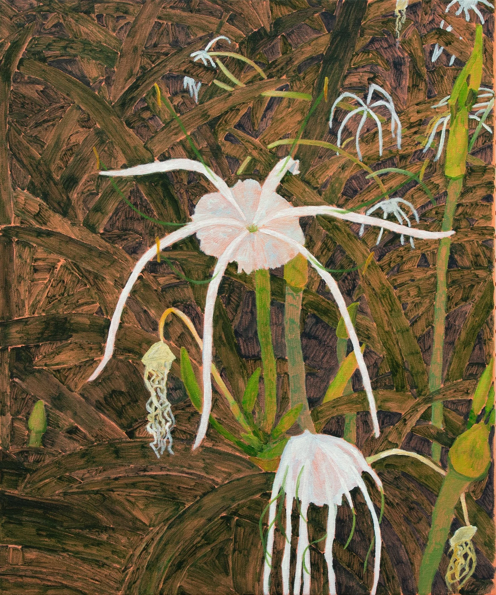 Abbey Hall - Spider Lily I.jpg