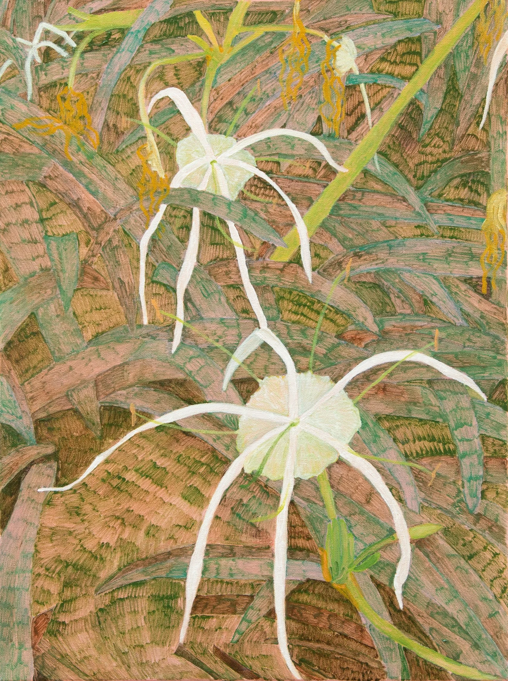 Abbey Hall - Spider Lily II.jpg