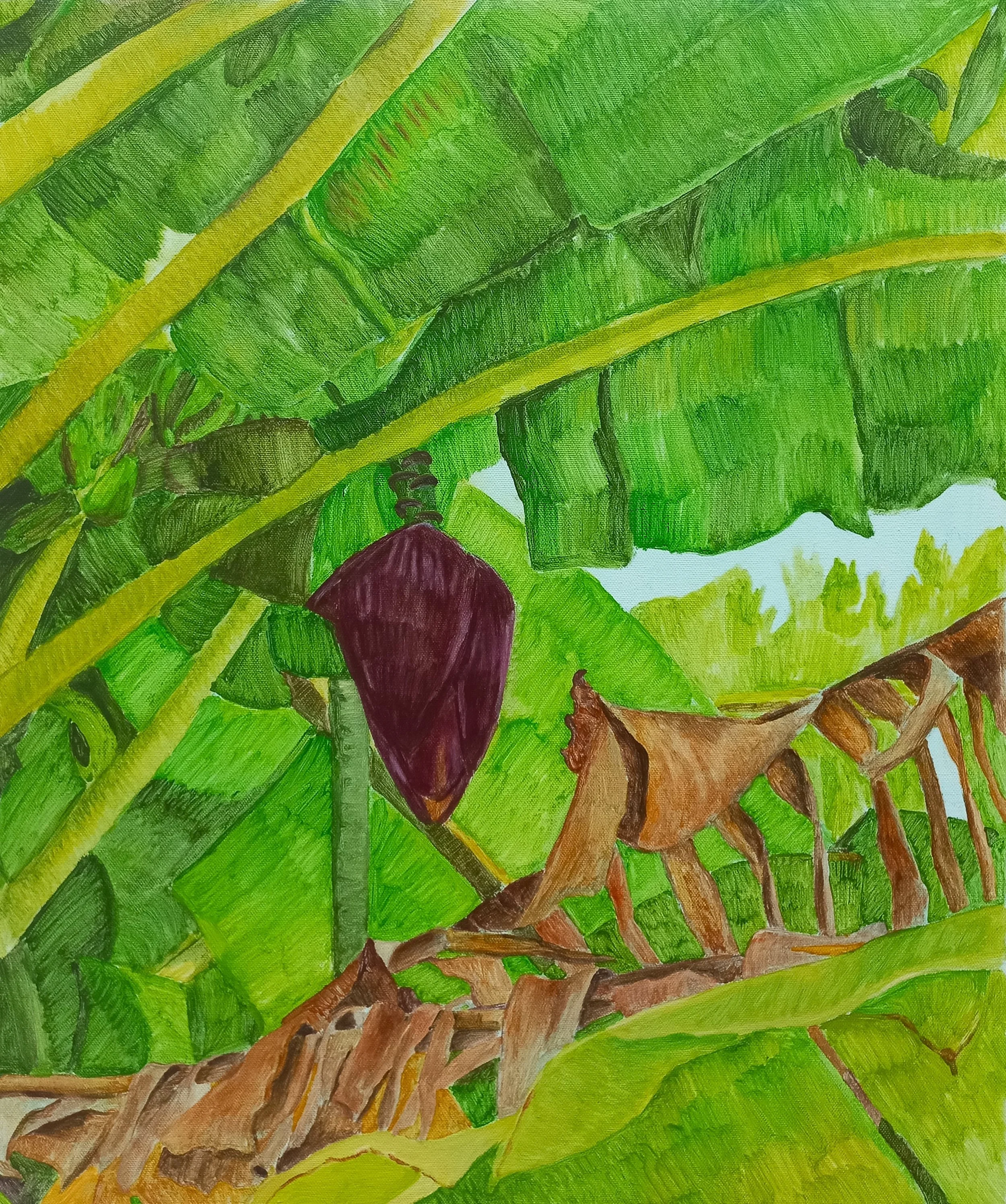 Banana Flower, Parap - Acrylic on canvas, 61cm x 51cm