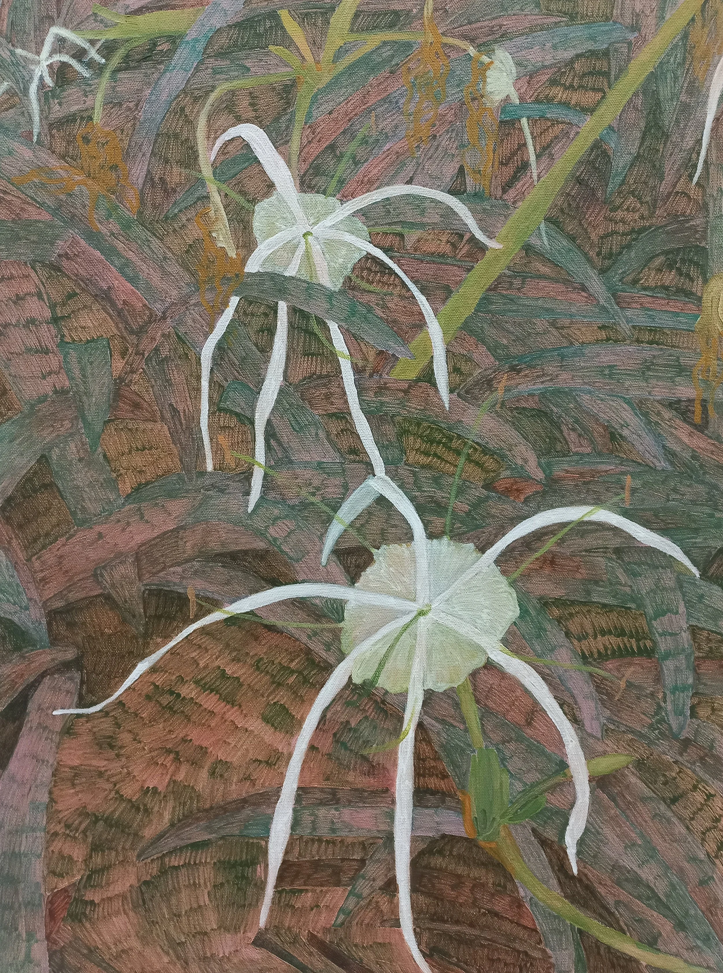 Abbey Hall - Spider Lily II.jpg