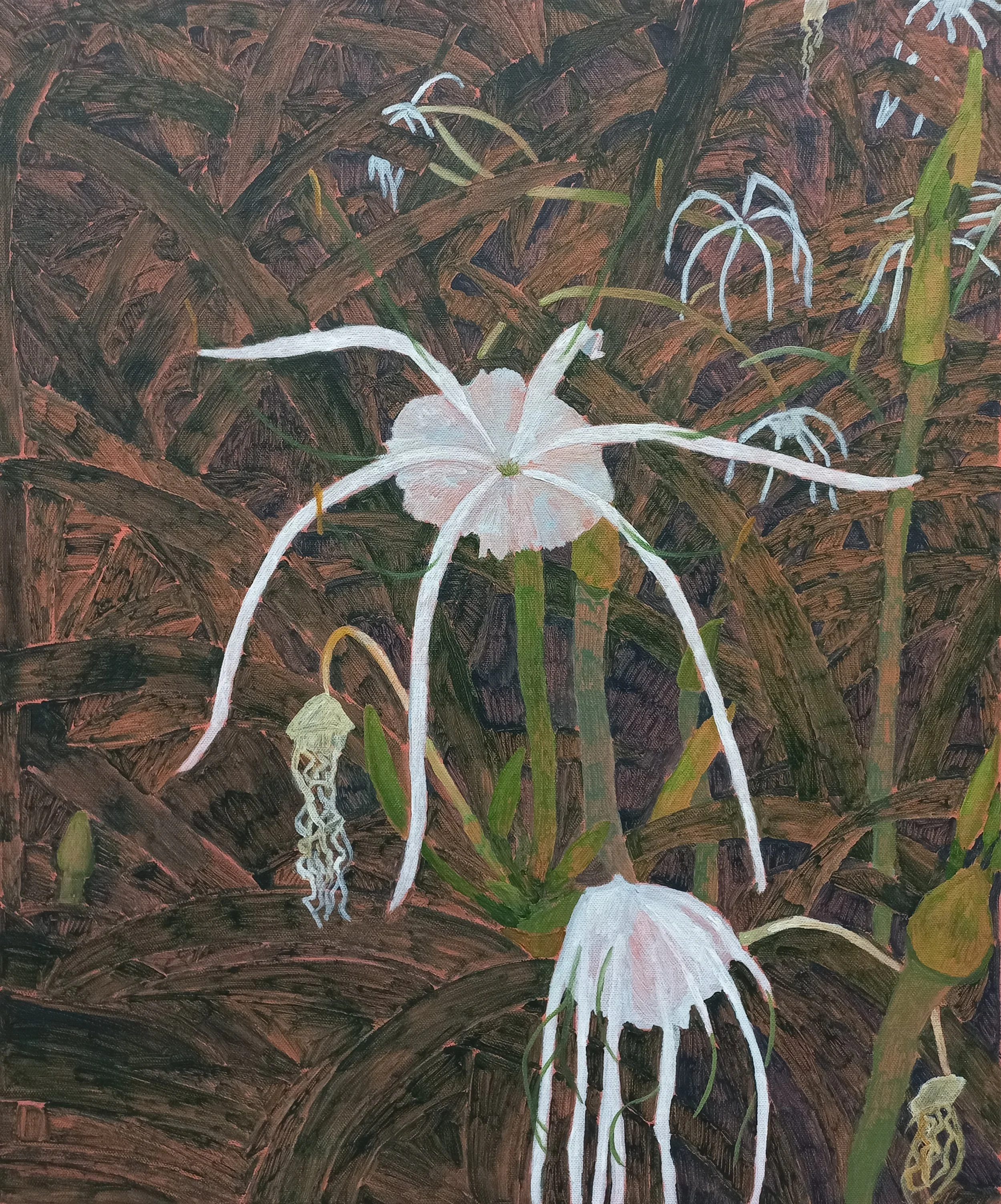 Spider Lily I - Acrylic on Canvas, 61cm x 51cm