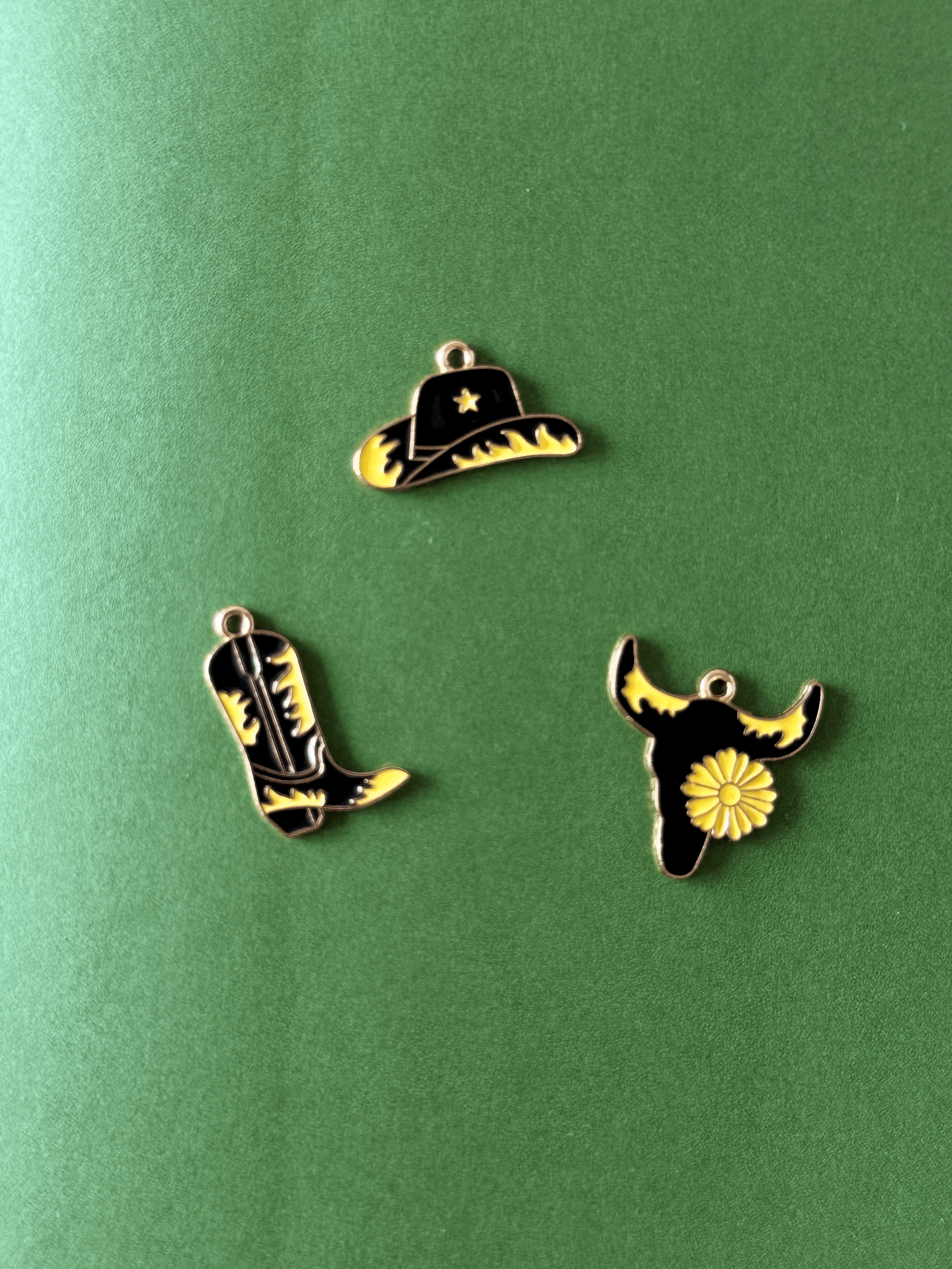 Sunflower Western Set ๐ป ๐ค