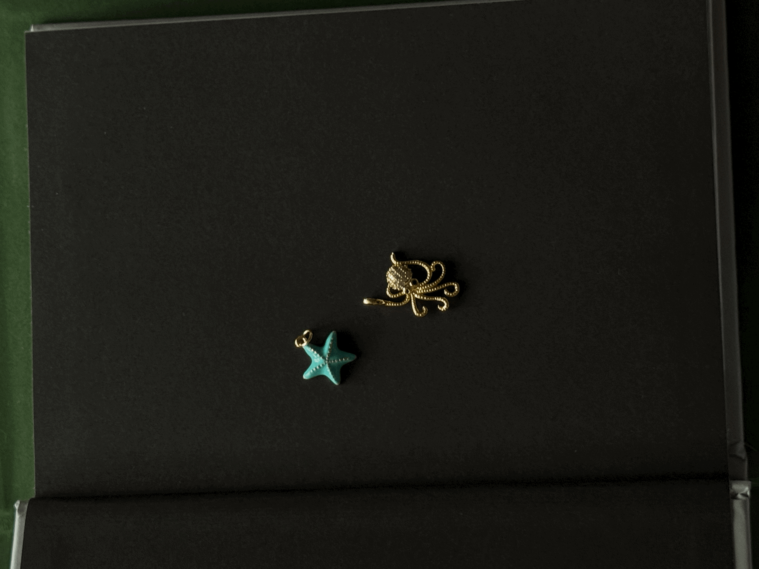 Ocean Creatures ๐๐โจ